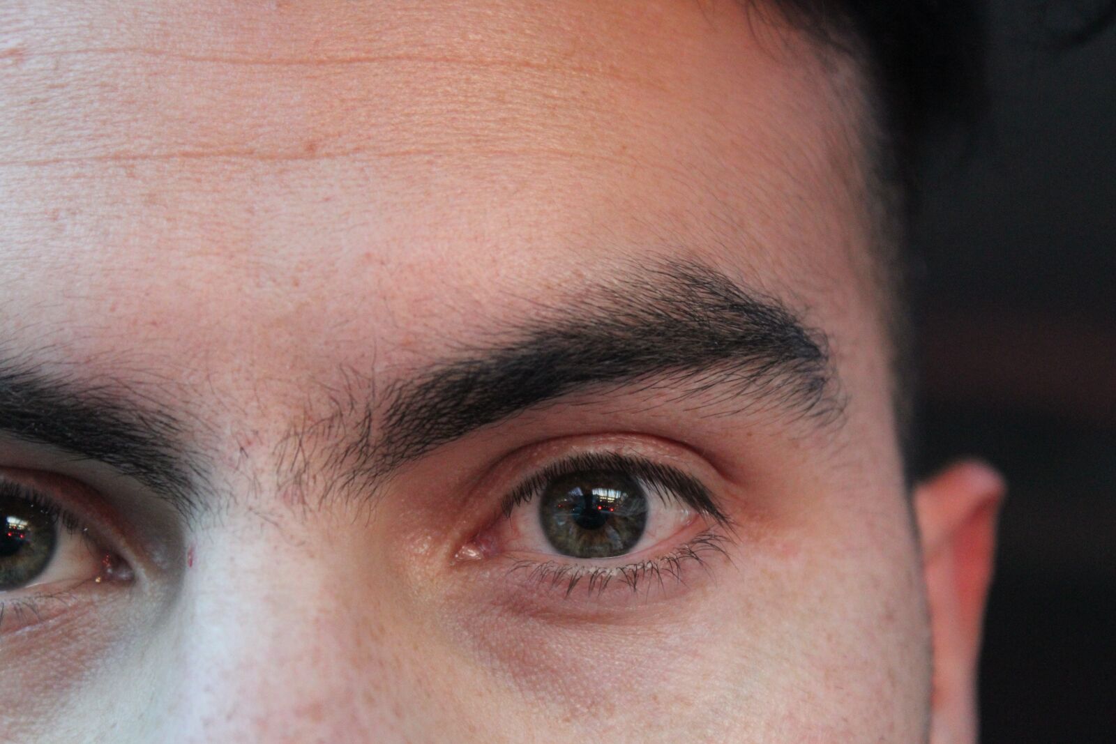 Canon EOS 1200D (EOS Rebel T5 / EOS Kiss X70 / EOS Hi) sample photo. Eye, macro, eyebrow photography
