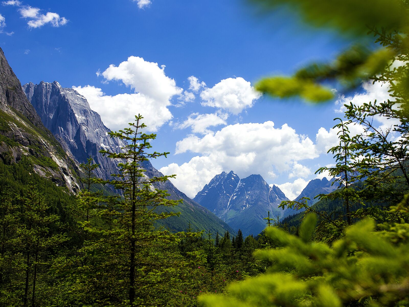 Canon EOS 6D sample photo. Mountain, woods, blue sky photography