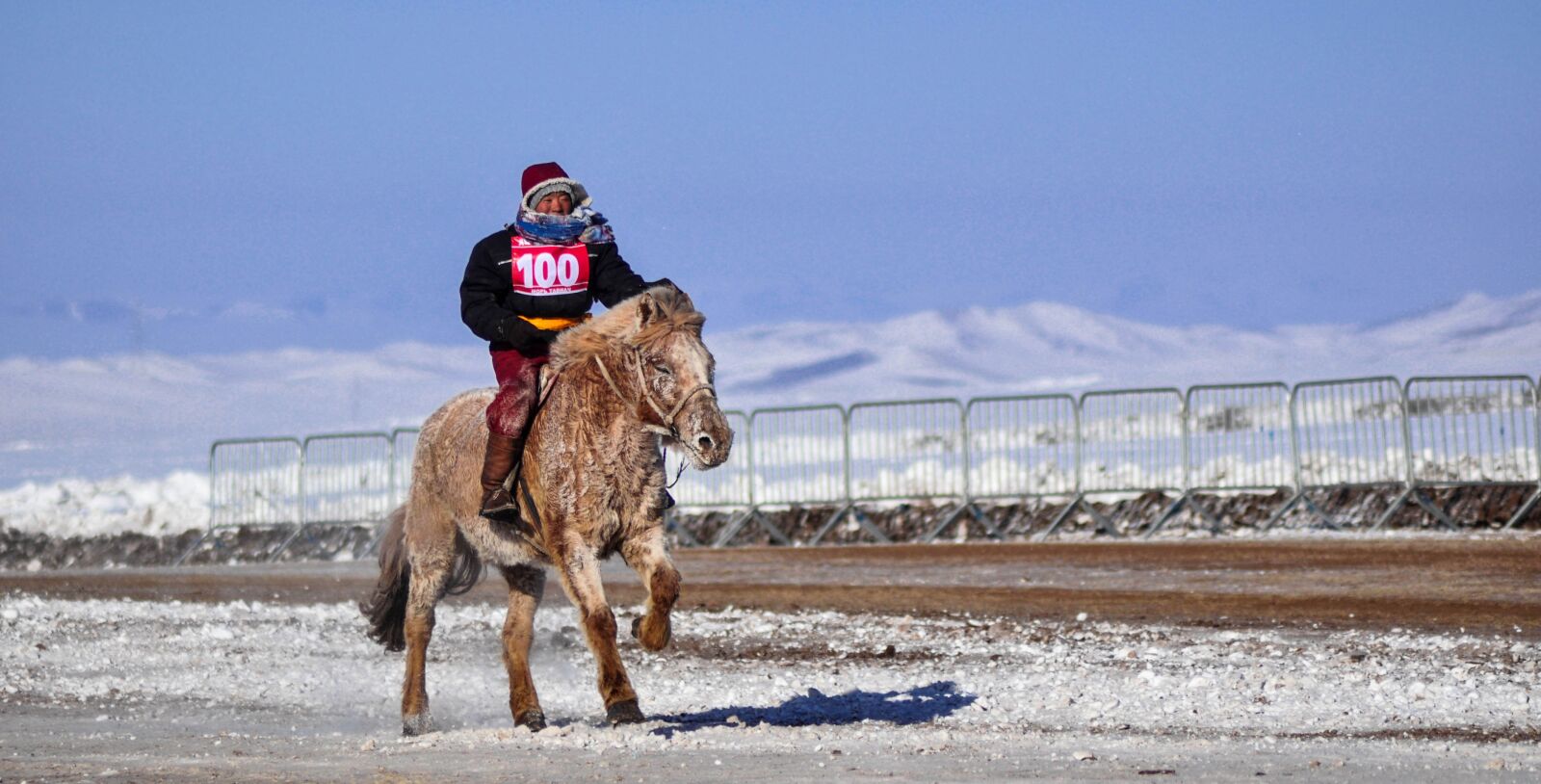 Nikon D90 sample photo. Horse race, finish line photography