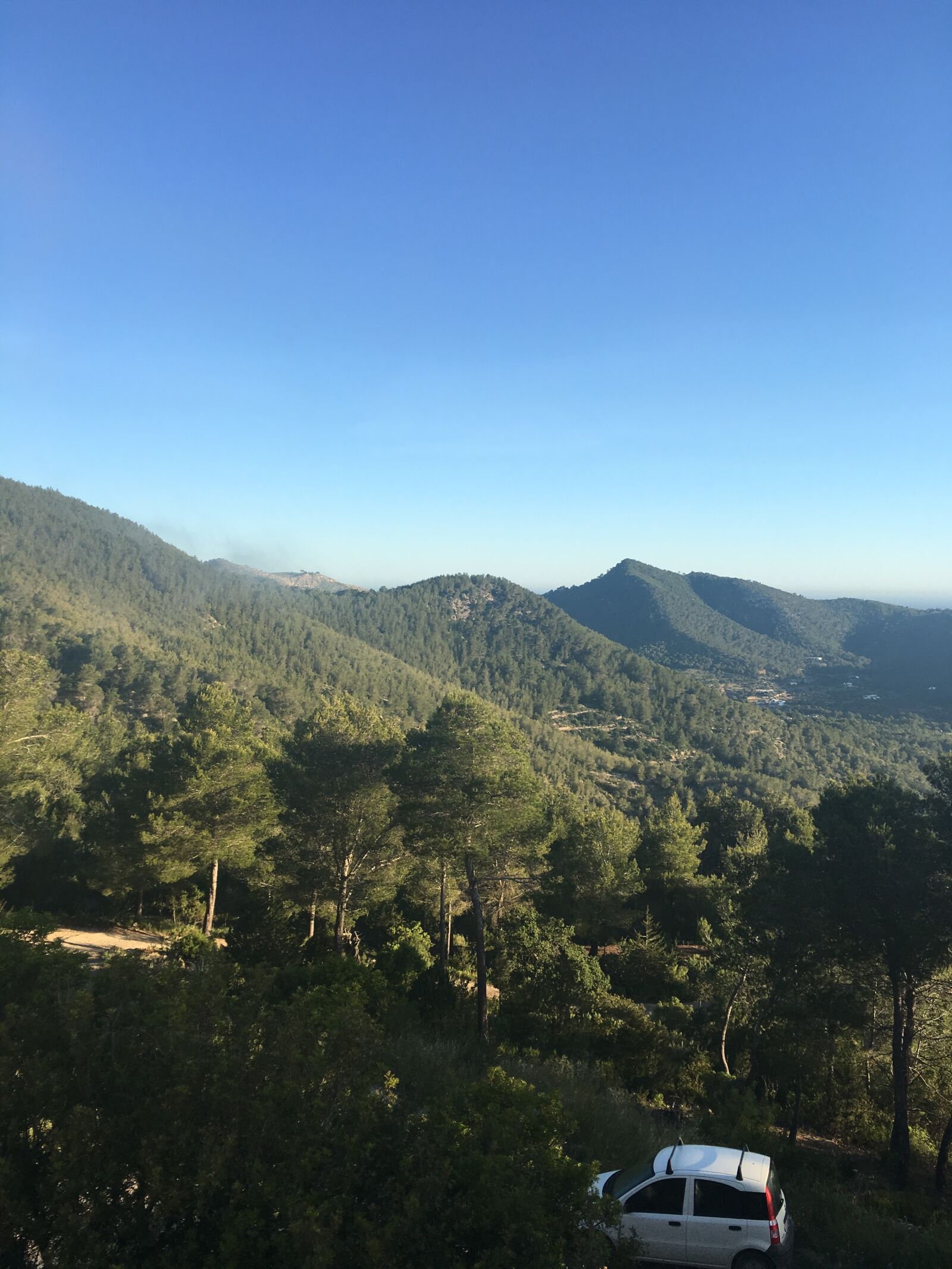 Apple iPhone 6s Plus sample photo. Nature, woods, air photography