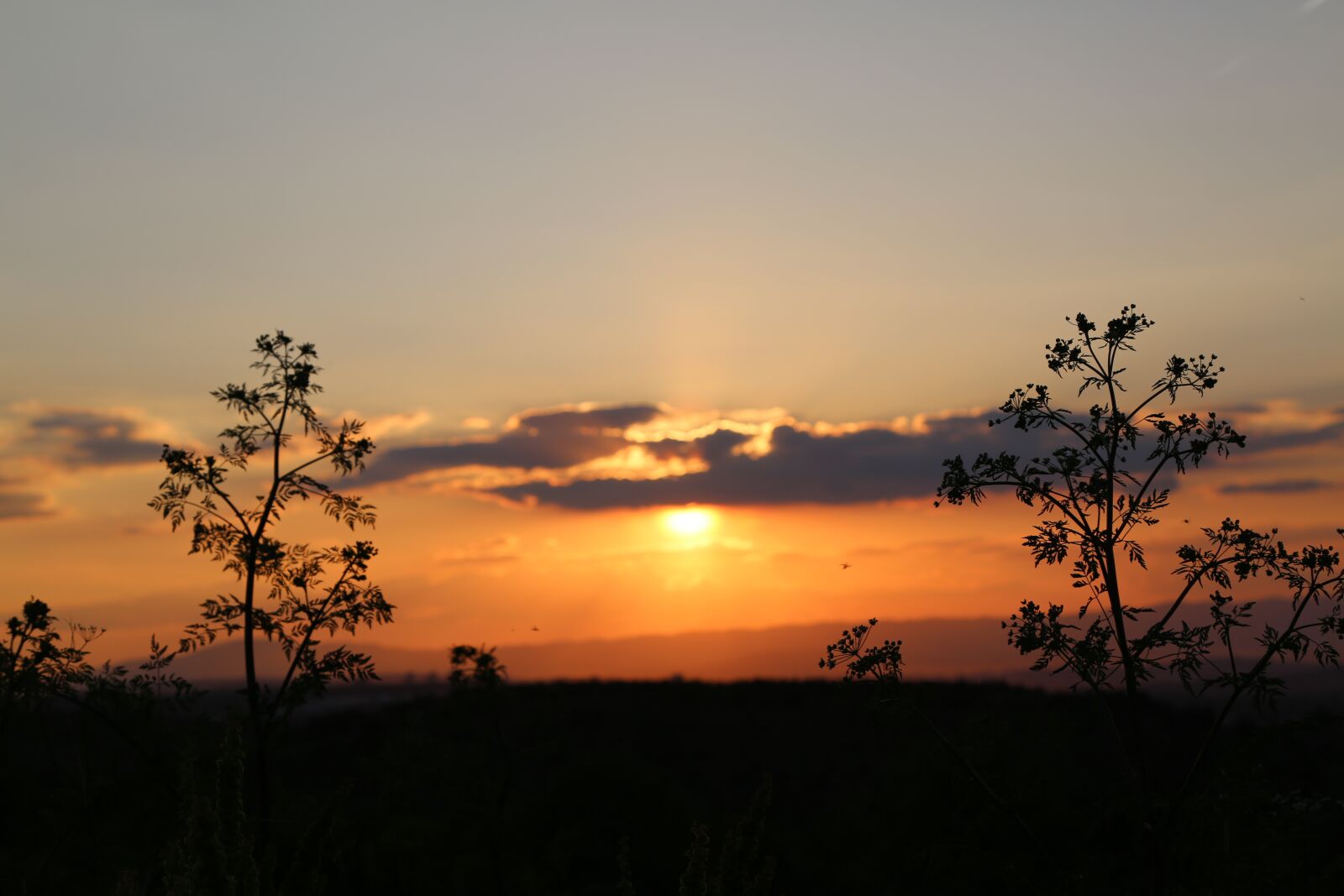 Canon EF 24-105mm F4L IS USM sample photo. Sunset, solar, nature photography