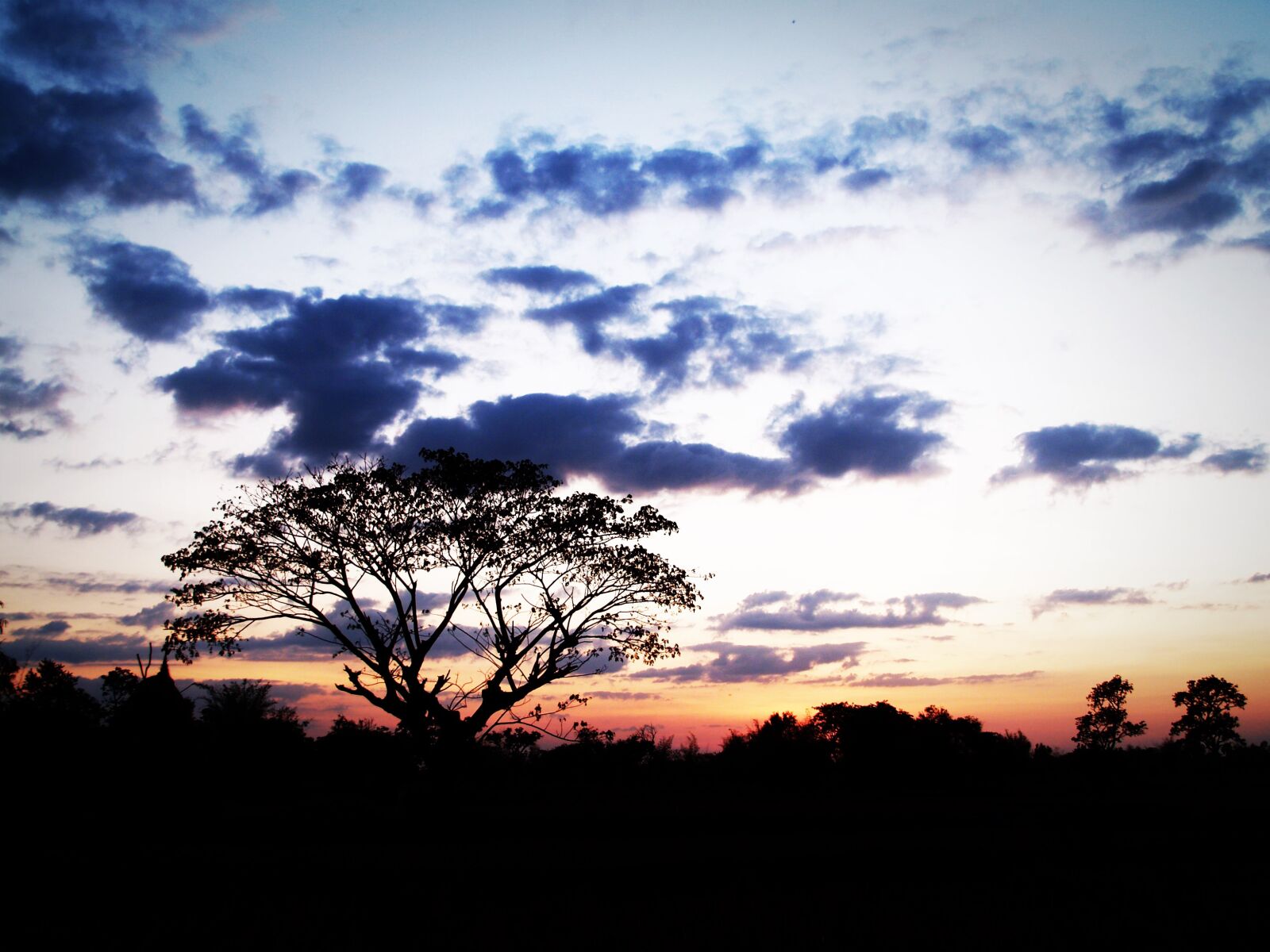 Olympus E-300 (EVOLT E-300) sample photo. Photo, of, sunset photography