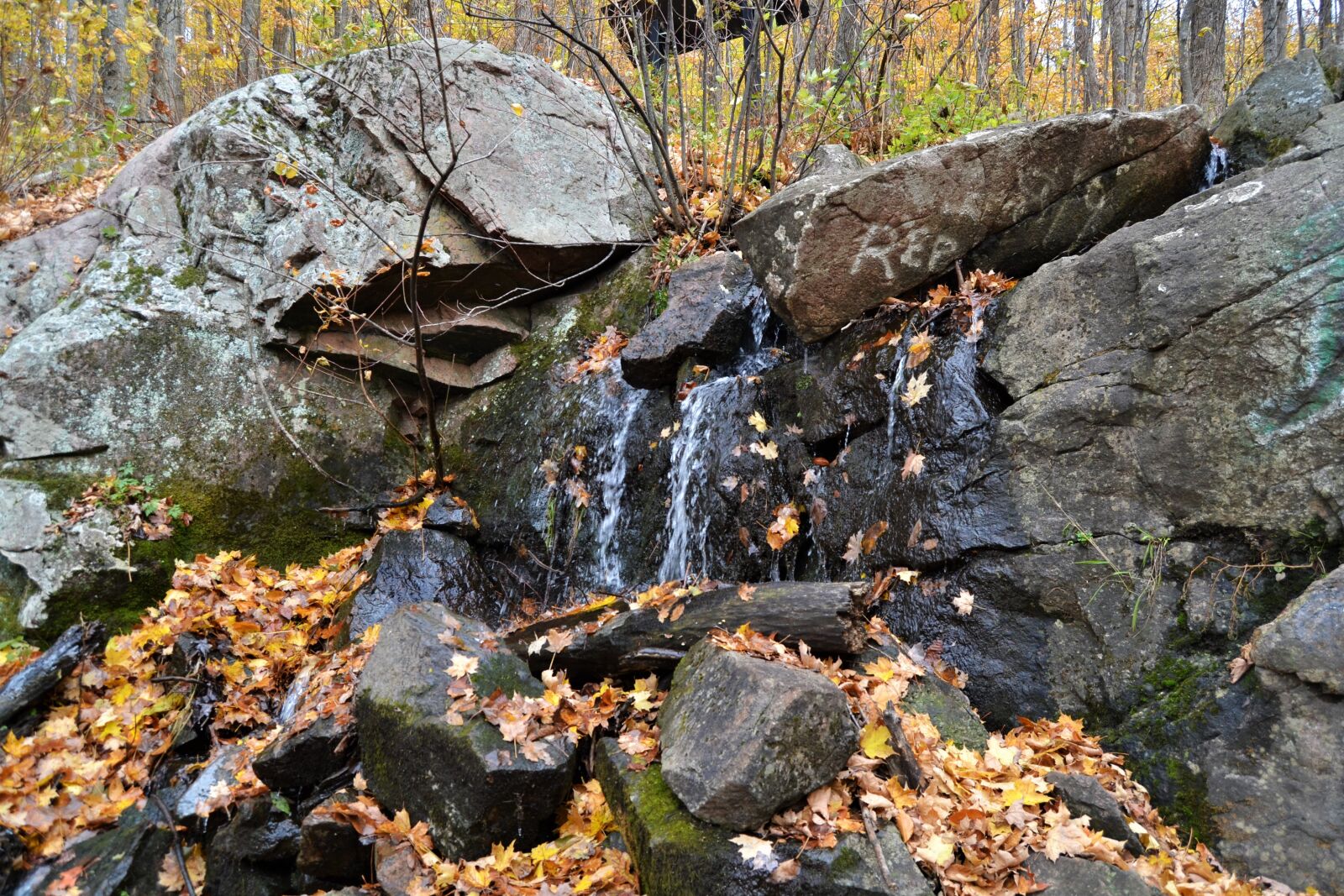 Nikon D3100 sample photo. National park, autumn, nature photography