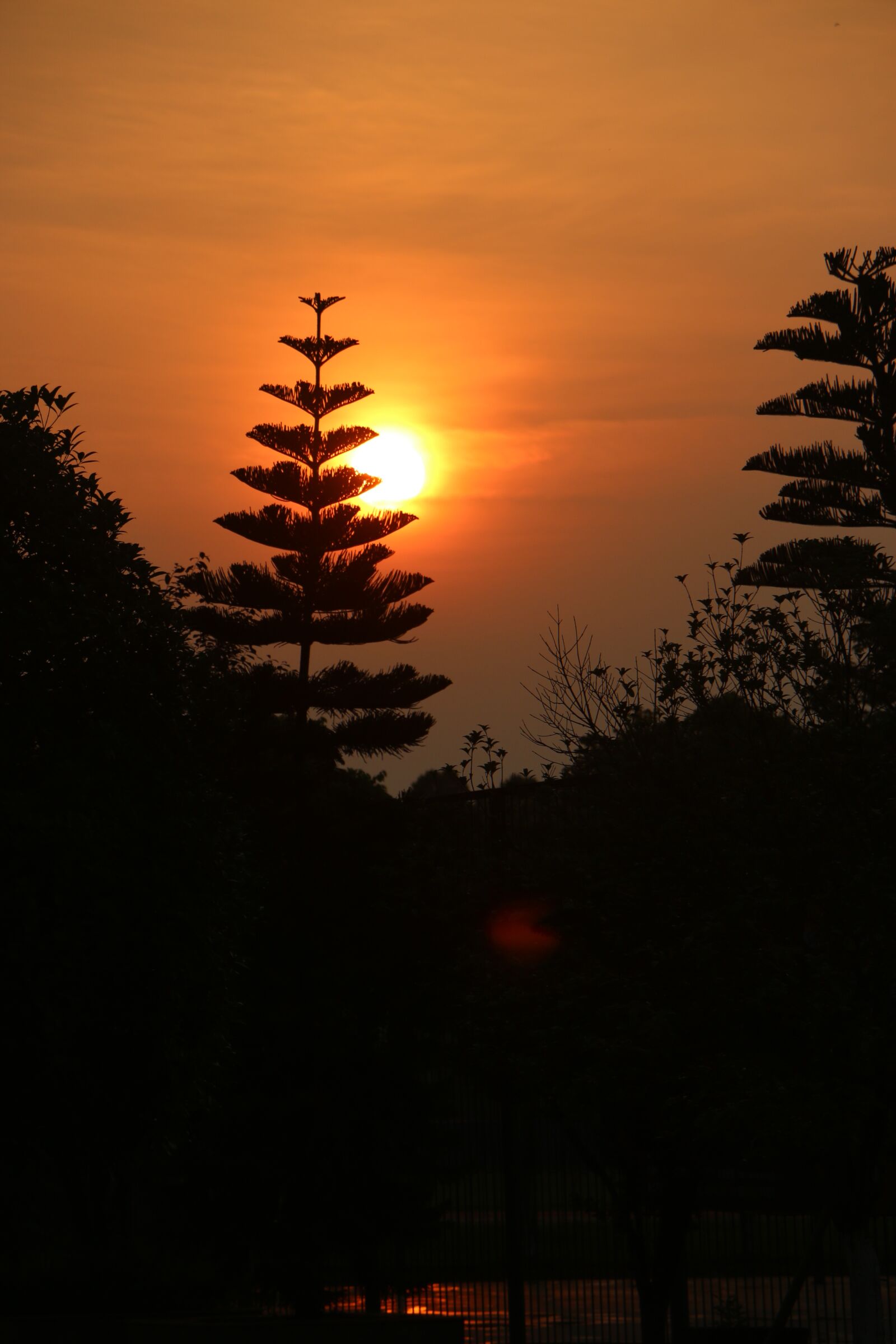 Canon EOS 70D sample photo. Sun, sunset, twilight photography