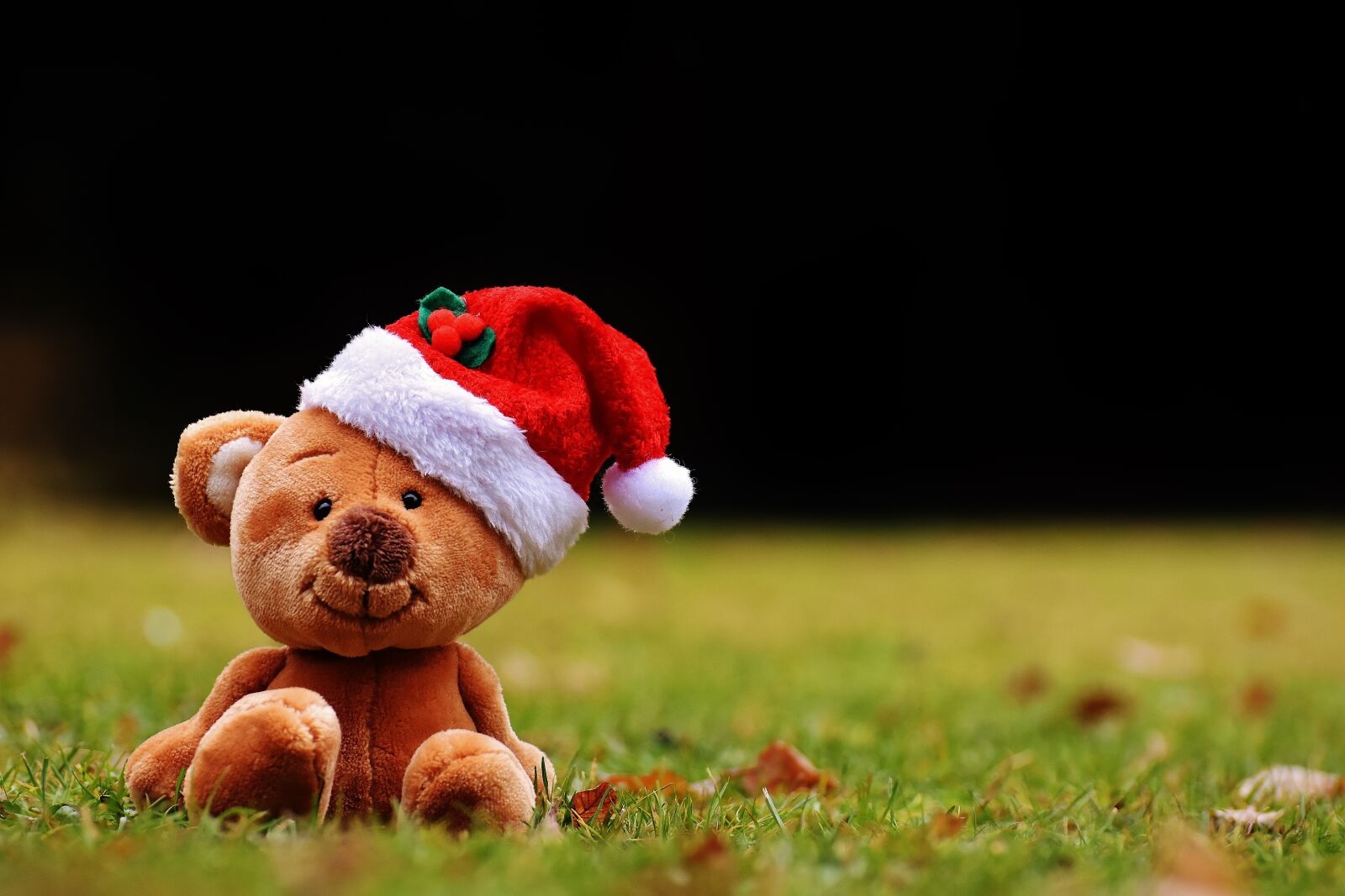 Nikon D7200 sample photo. Christmas, teddy, soft toy photography