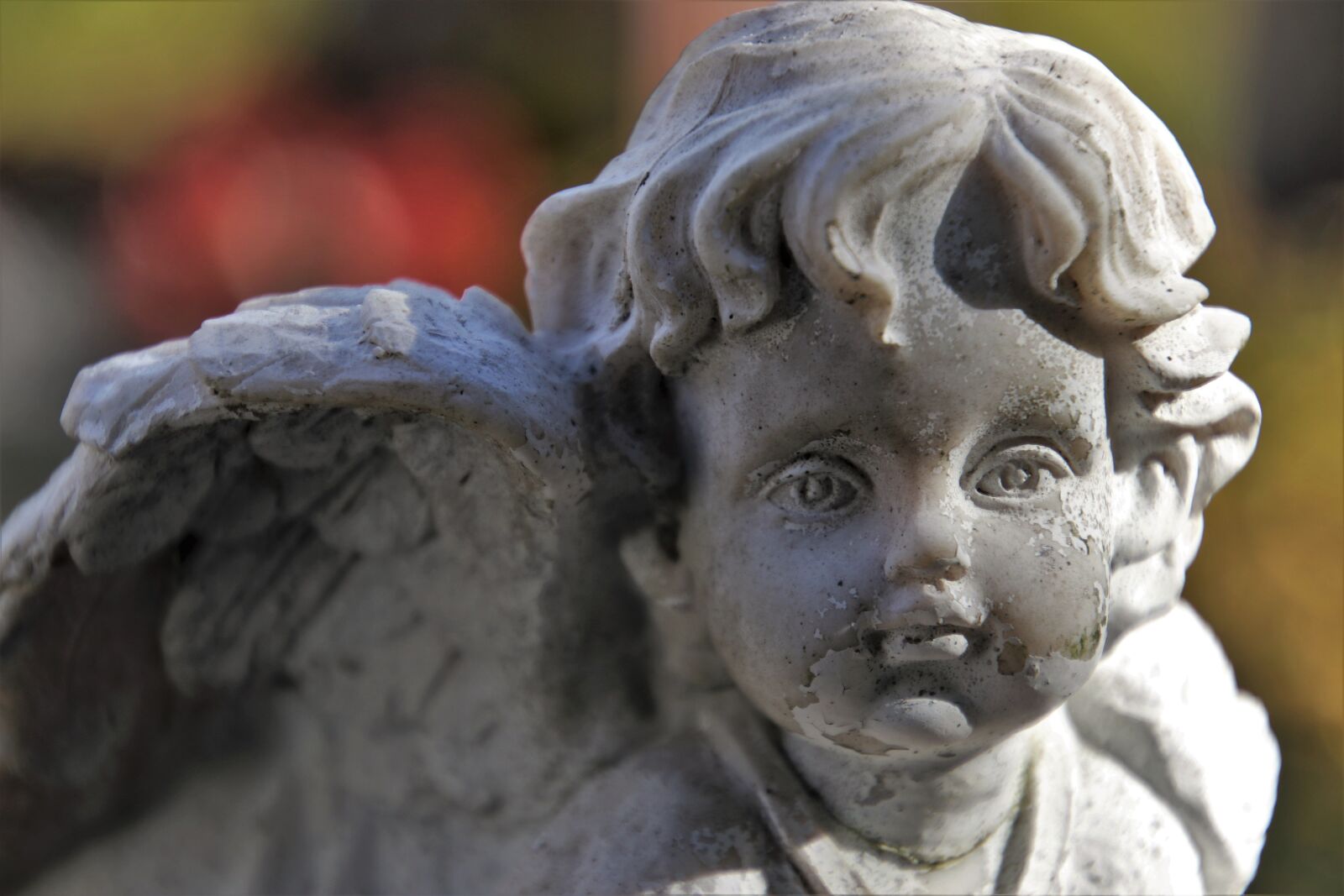 Canon EOS 80D sample photo. Fromm, cemetery, angel photography