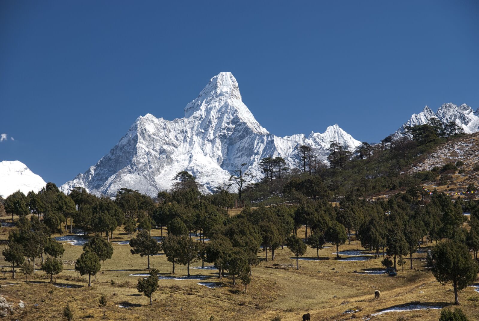 Nikon D80 sample photo. Nepal, himalayas, mountain photography