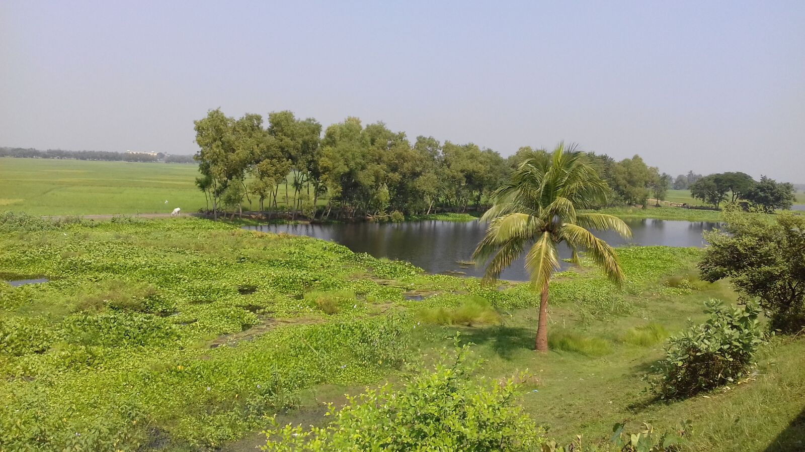 Samsung Galaxy J3(2016) sample photo. Nature, picture, villages photography
