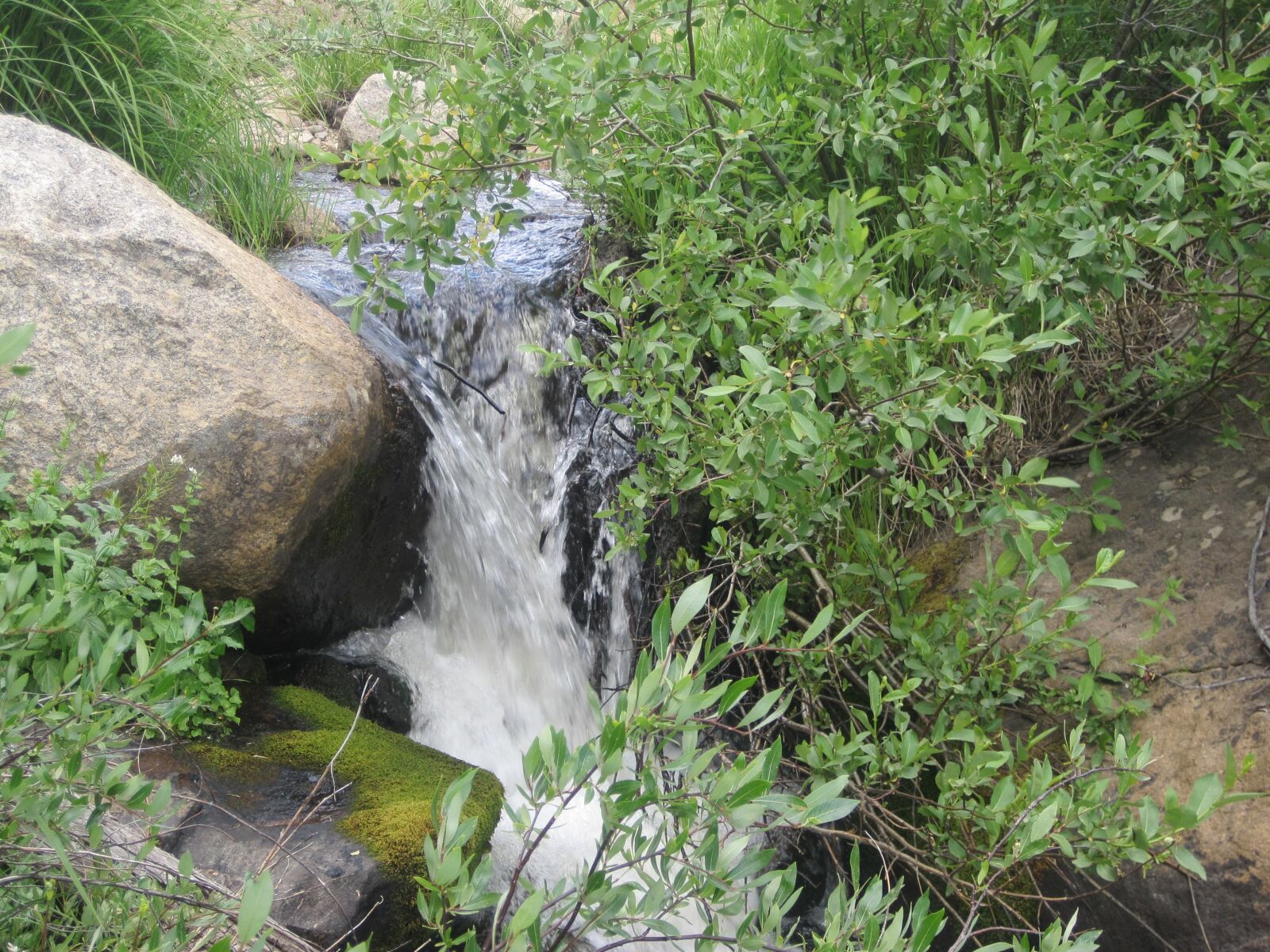 Canon PowerShot SD1200 IS (Digital IXUS 95 IS / IXY Digital 110 IS) sample photo. Creek, water, nature photography