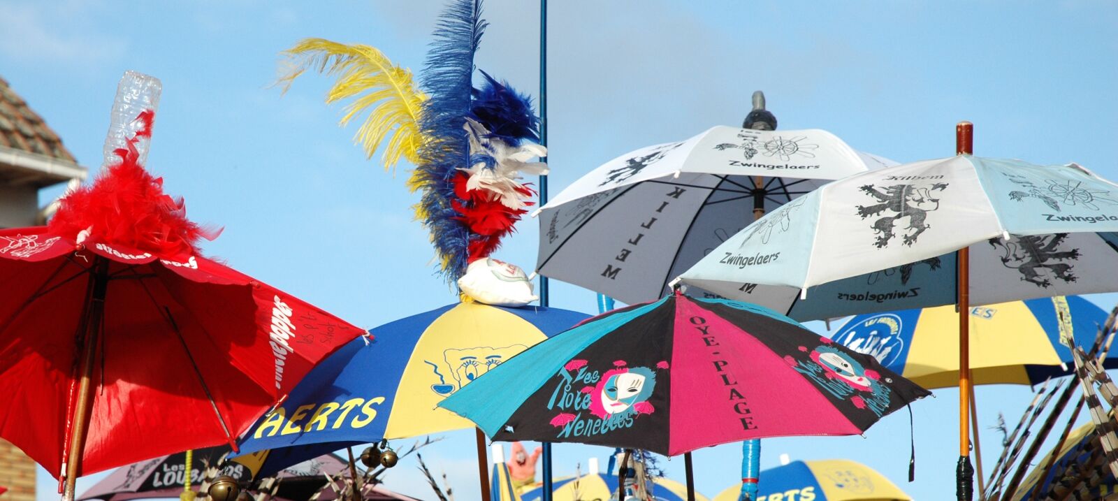 Nikon D70s sample photo. Carnival, umbrella, flag photography