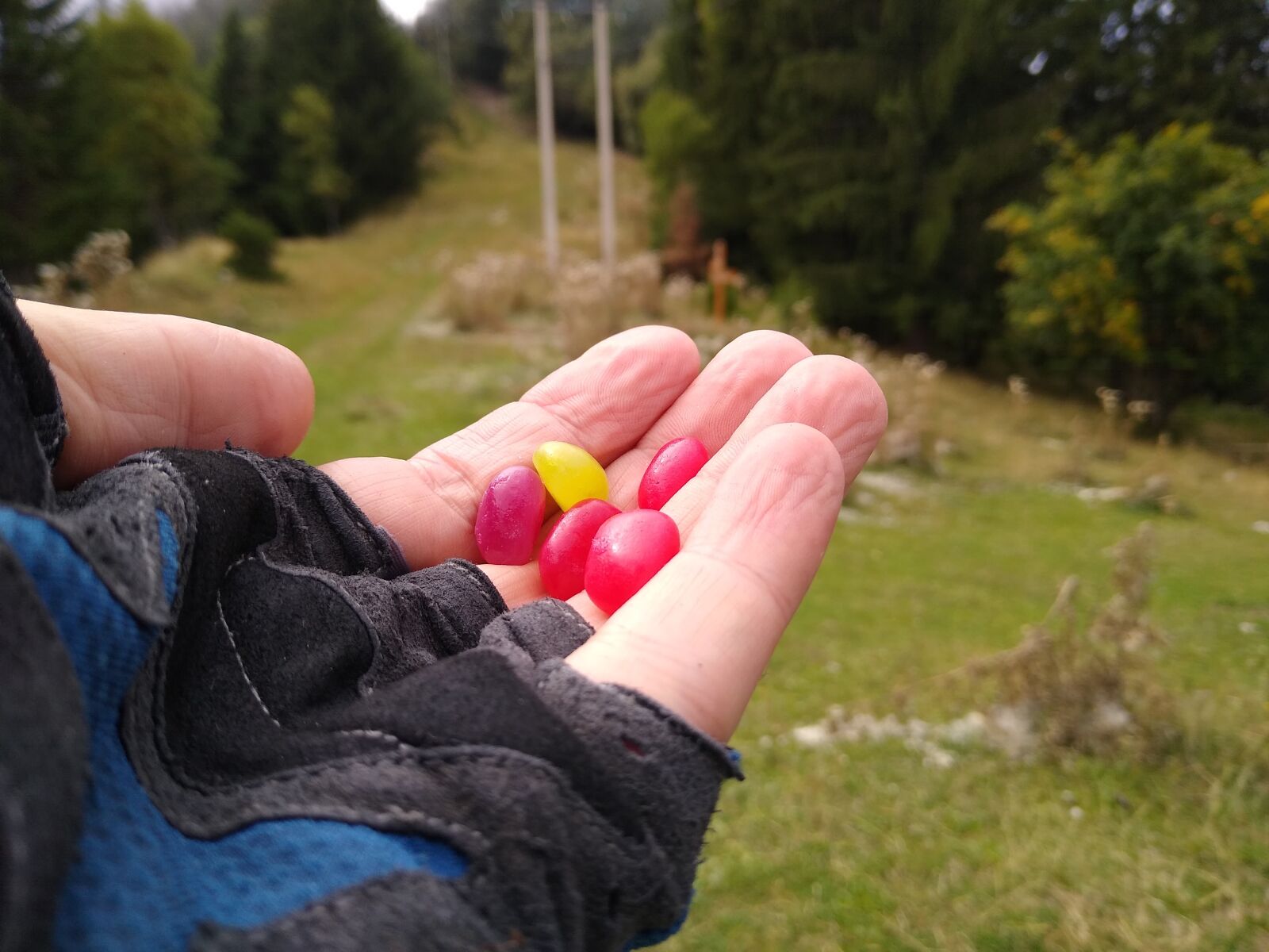 Motorola moto g(7) power sample photo. Sweets, jelly beans, colorful photography