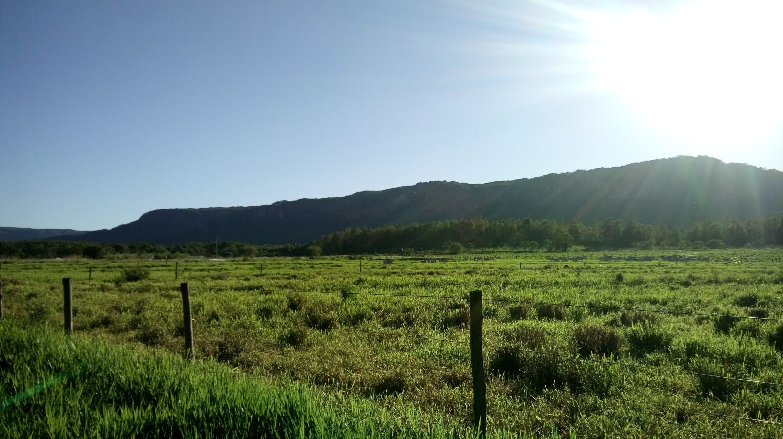 LG K430TV sample photo. The hill paxixi, nature photography
