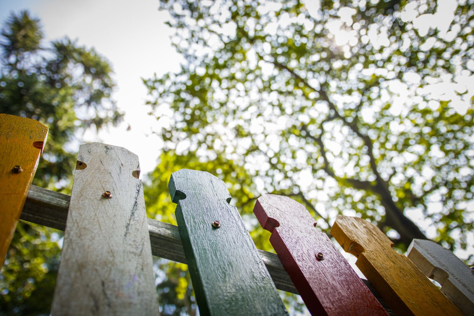 Canon EOS 750D (EOS Rebel T6i / EOS Kiss X8i) sample photo. Blurred background, colorful, fence photography