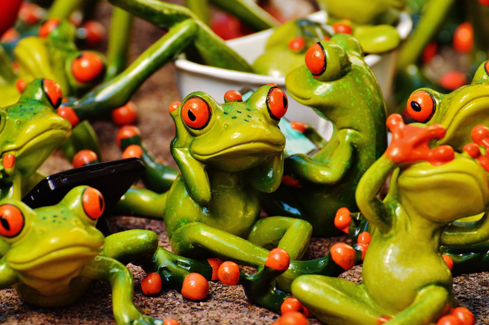 Nikon D3200 sample photo. Frogs, many, group photography