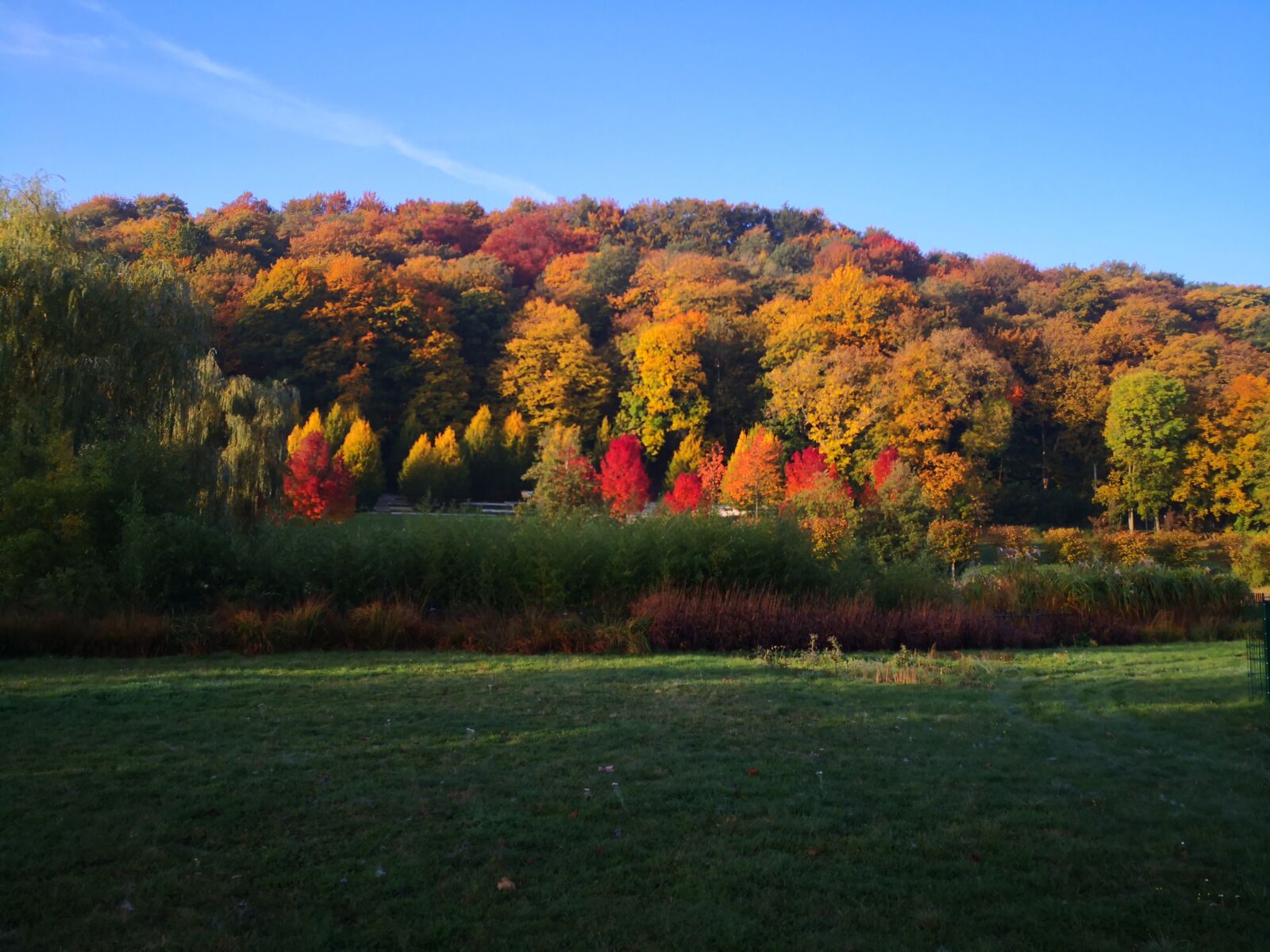 HUAWEI Mate 10 Pro sample photo. Autumn, colorful, vogtland photography