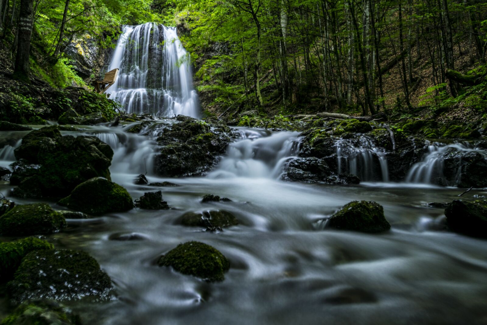 Nikon D5300 sample photo. Forest, waterfall, schliersee photography