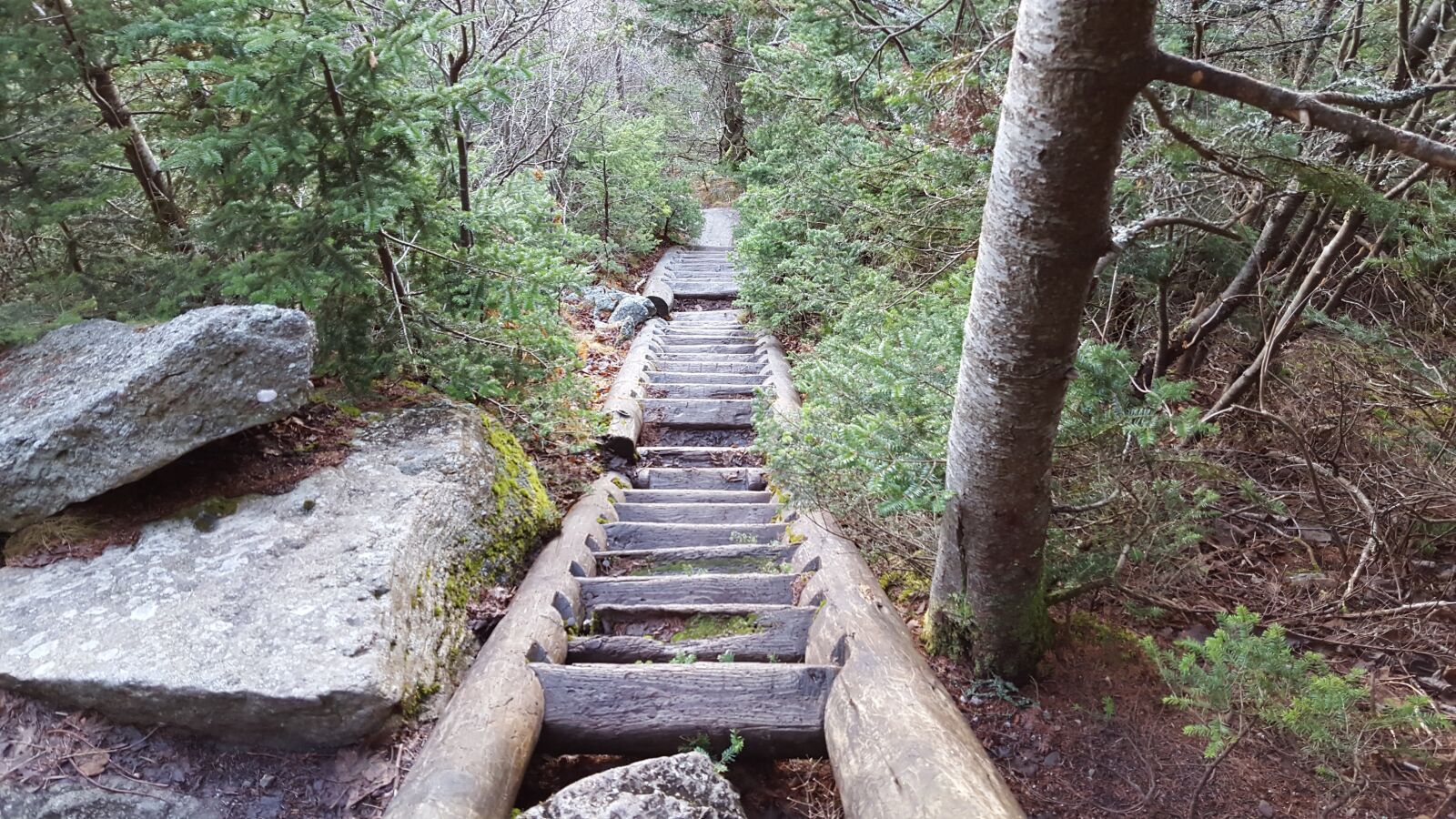 Samsung Galaxy S6 sample photo. Hiking, outdoors, stairs photography