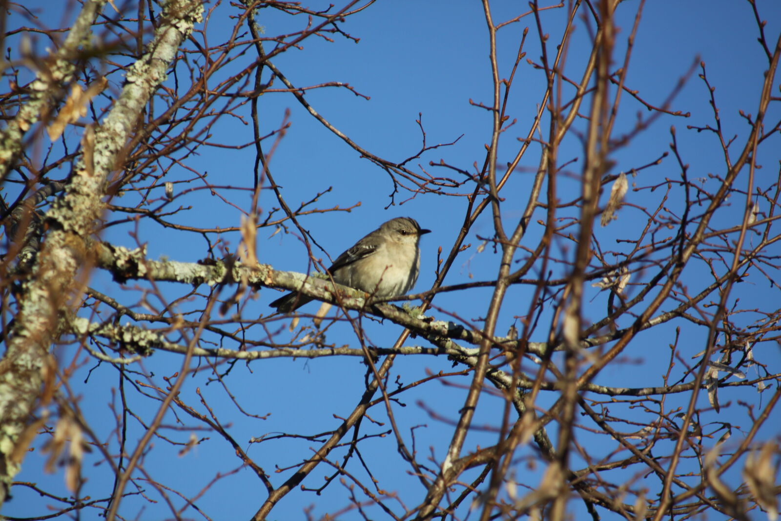 Canon EOS 50D sample photo