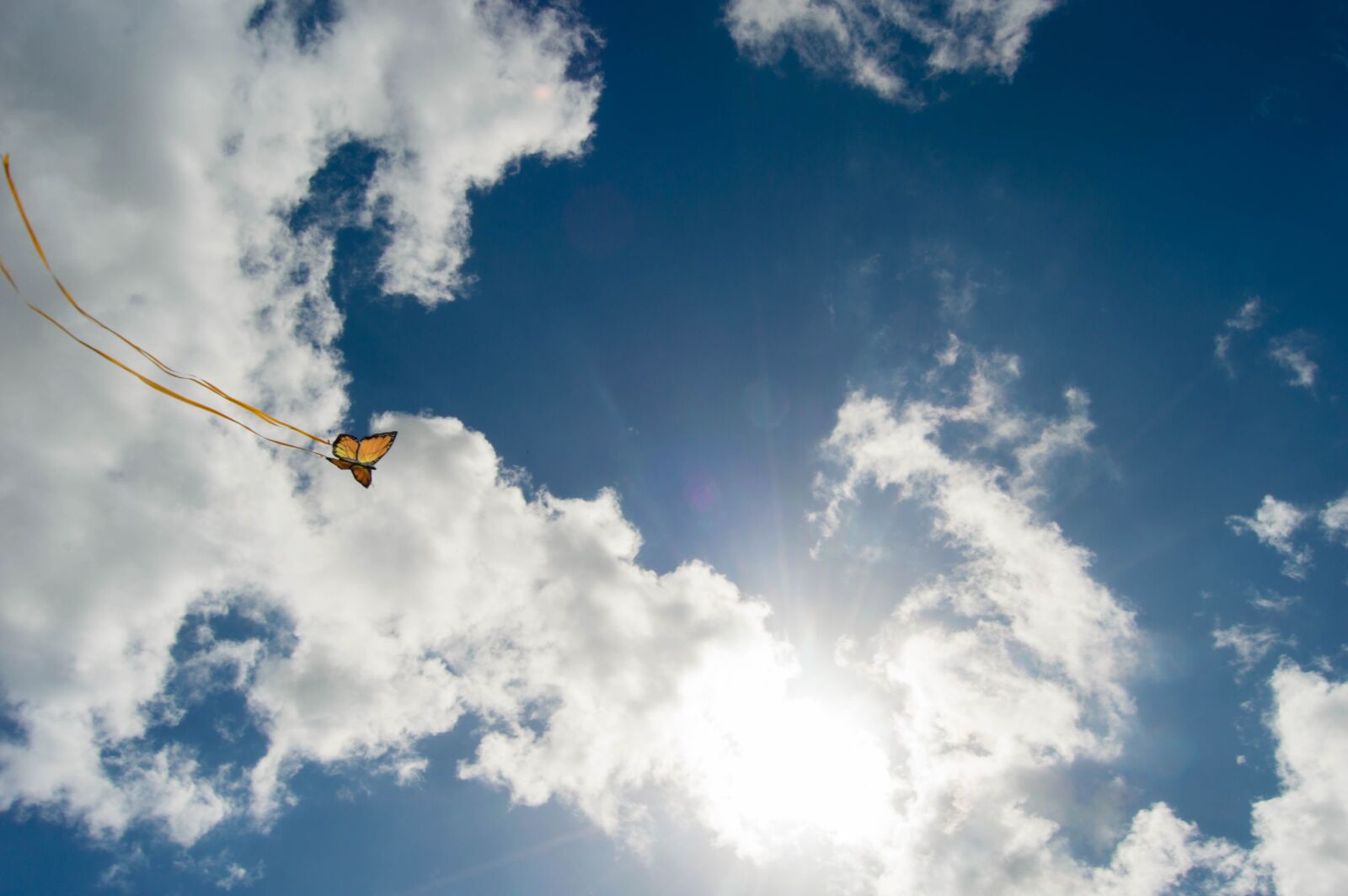 Nikon D3200 sample photo. Butterfly, sky, insect photography