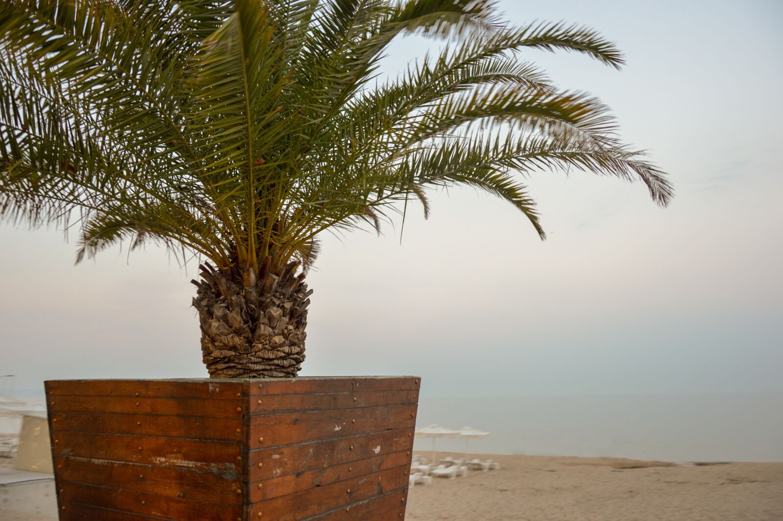 Nikon D3200 sample photo. Palma, bulgaria, sea photography