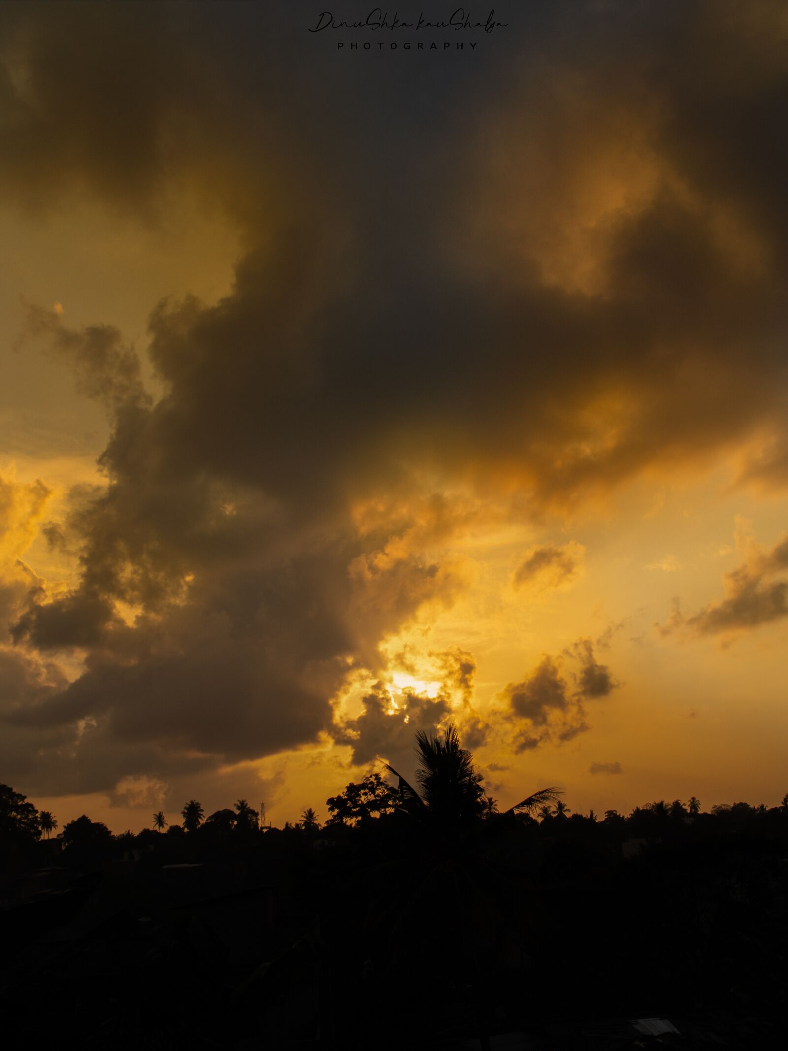 Canon EOS 800D (EOS Rebel T7i / EOS Kiss X9i) sample photo. Sun, morning, morning sky photography