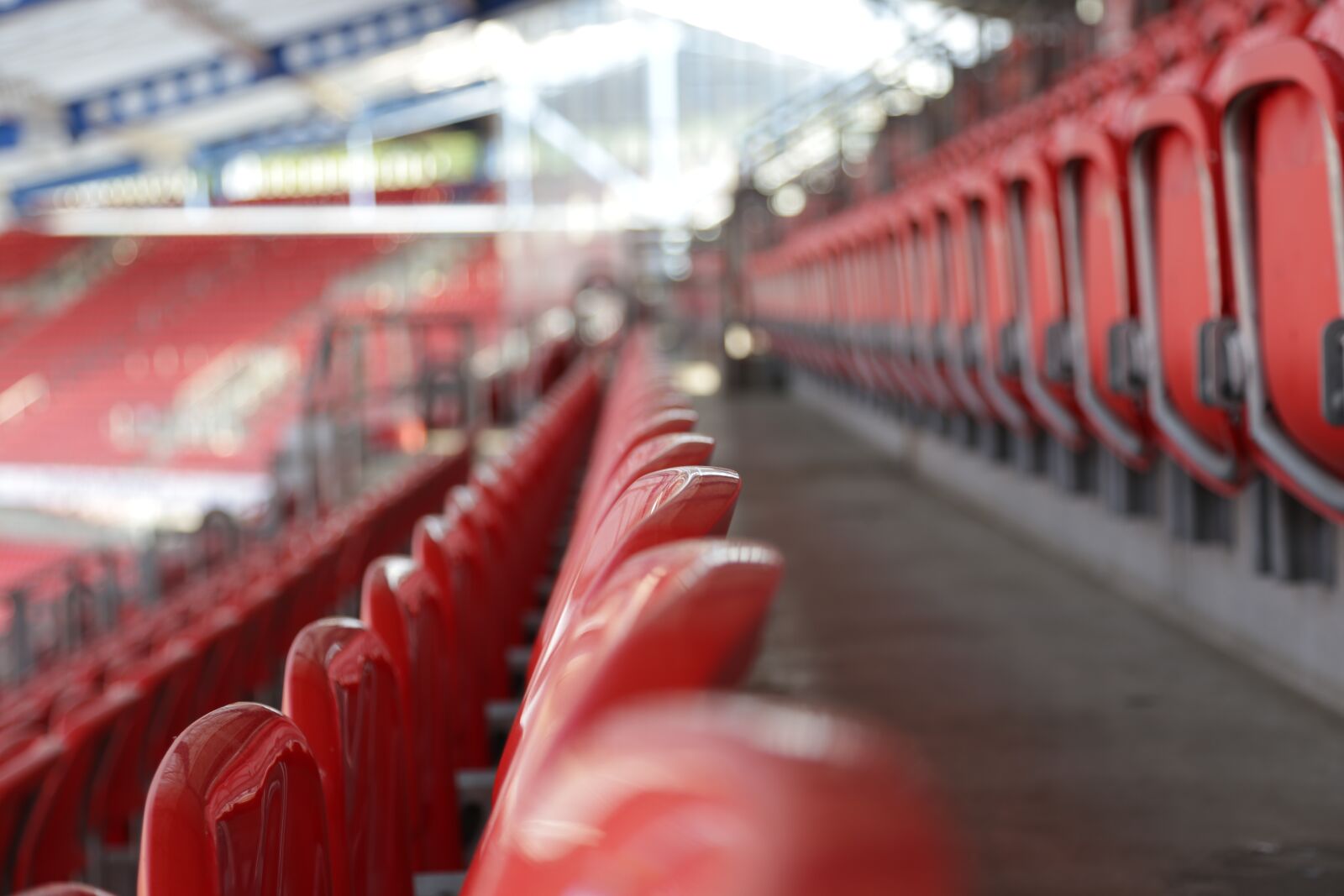 Canon EOS 6D + Canon EF 24-105mm F4L IS USM sample photo. Stadium, sit, row photography
