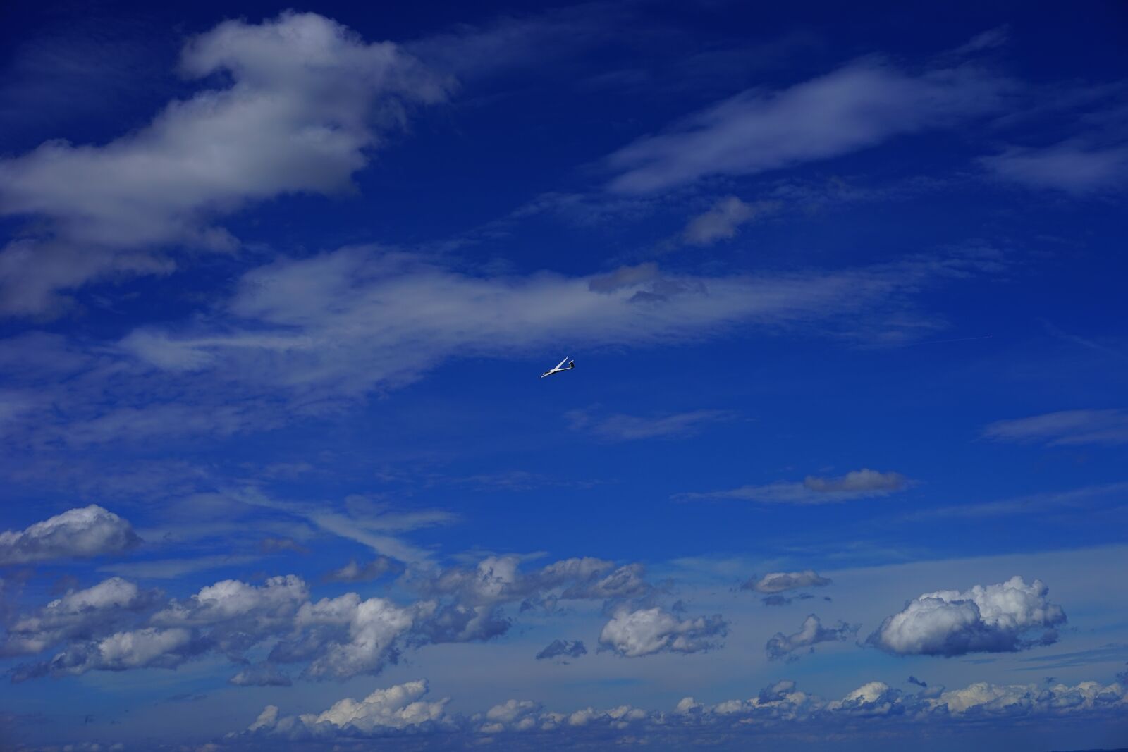 Sony a7 + Sony Sonnar T* FE 55mm F1.8 ZA sample photo. Glider pilot, sail, sport photography