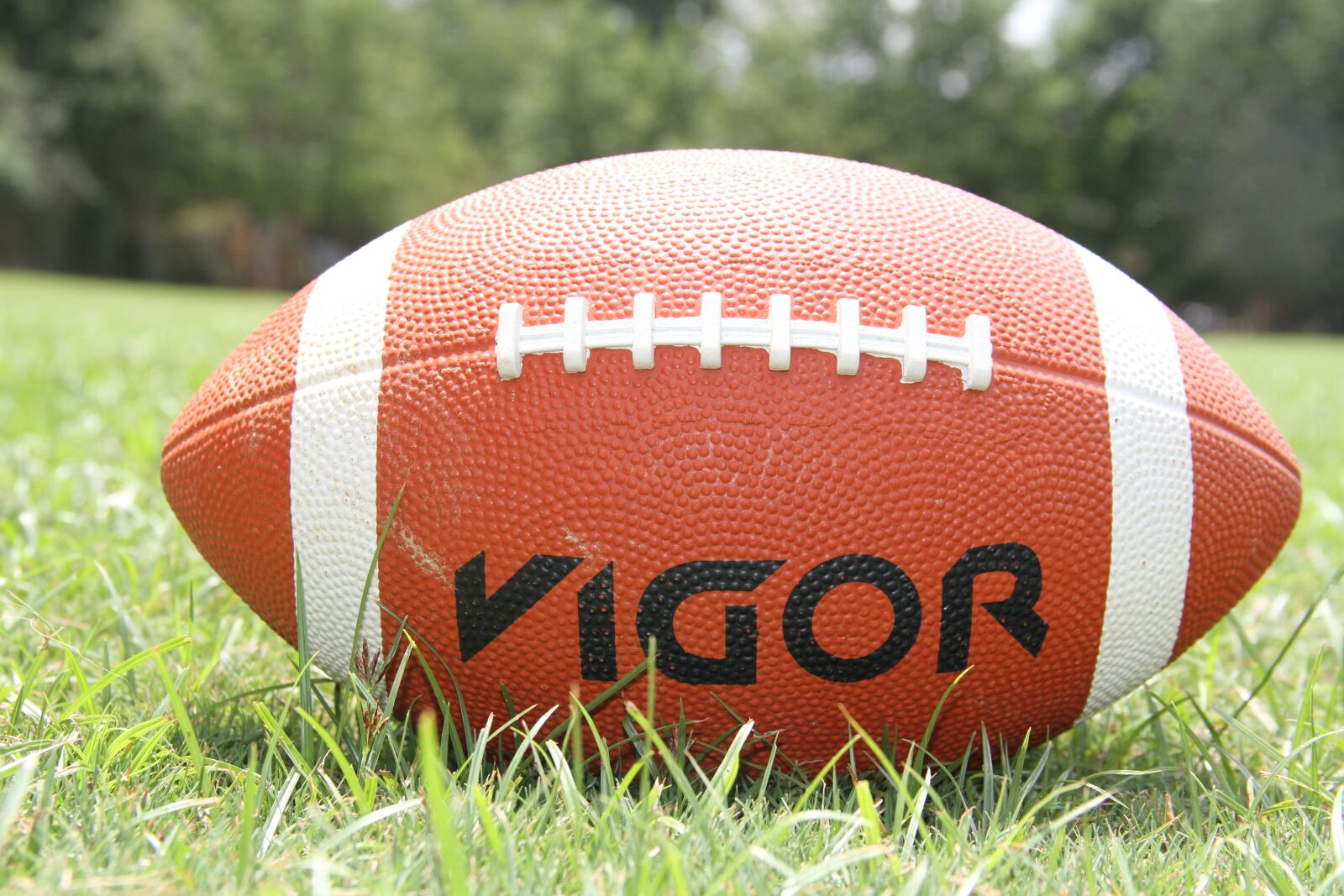 Canon EOS 7D sample photo. American football, football, sports photography