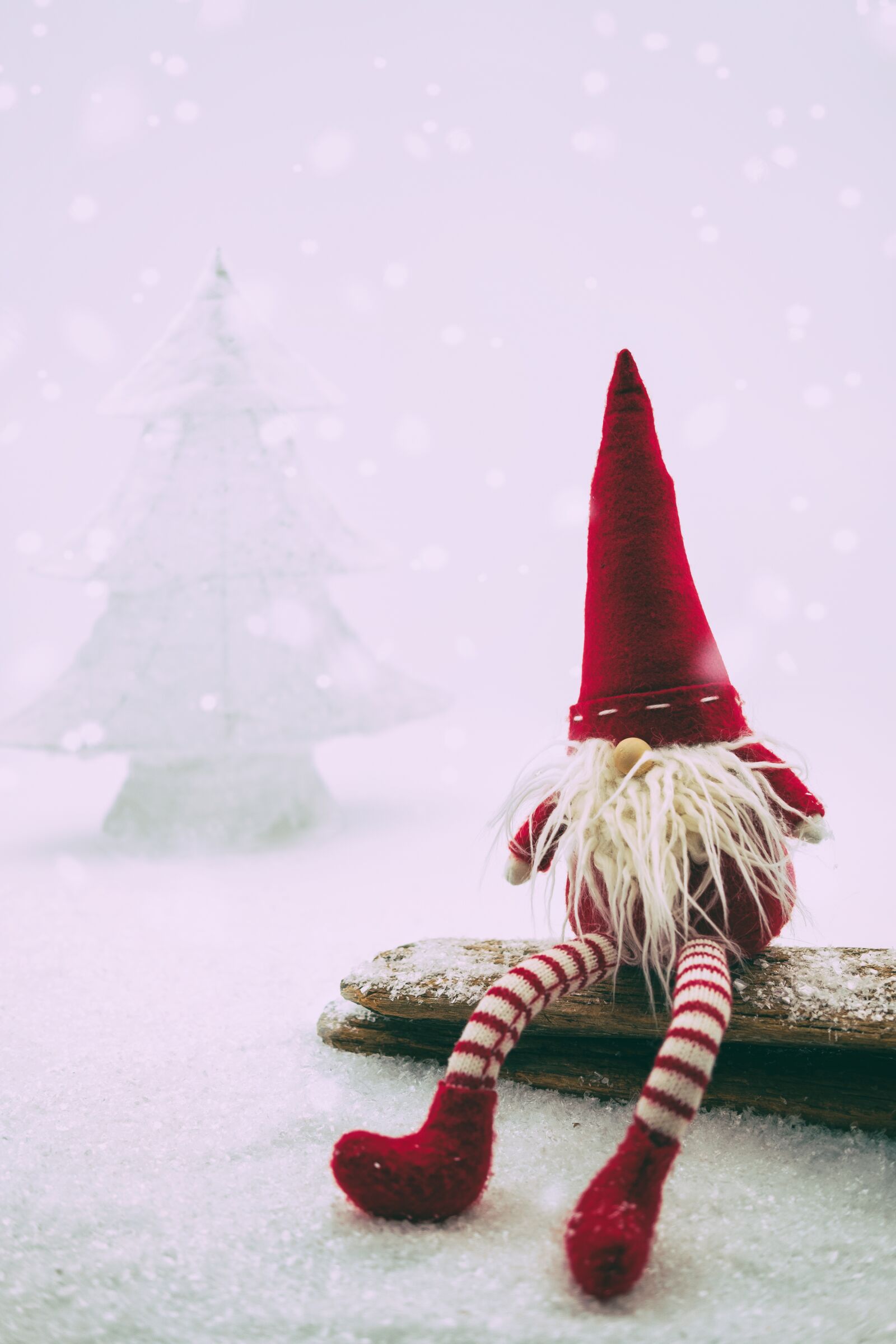 Fujifilm X-T2 + Fujifilm XF 35mm F2 R WR sample photo. Santa claus, nicholas, imp photography