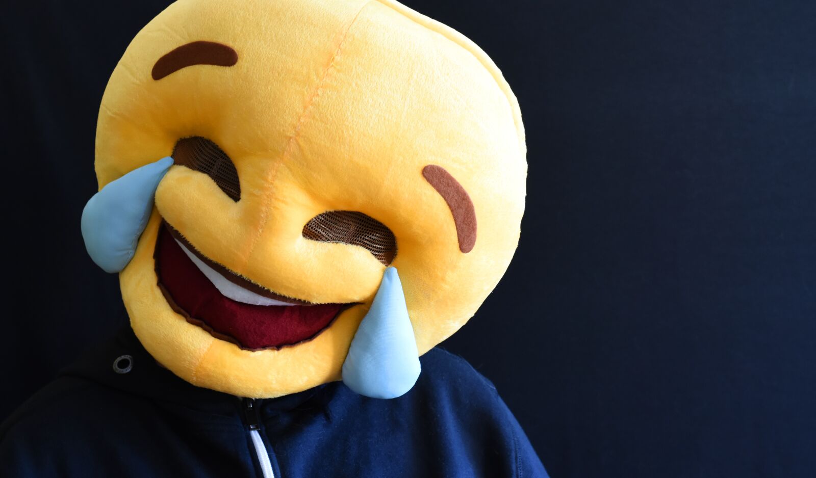 Nikon D7200 sample photo. Smiley, costume, mask photography
