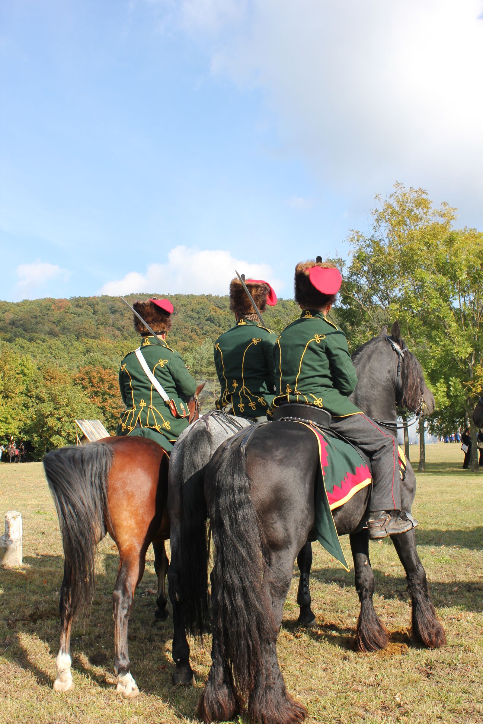 Canon EOS 550D (EOS Rebel T2i / EOS Kiss X4) sample photo. Horse, soldier, history photography