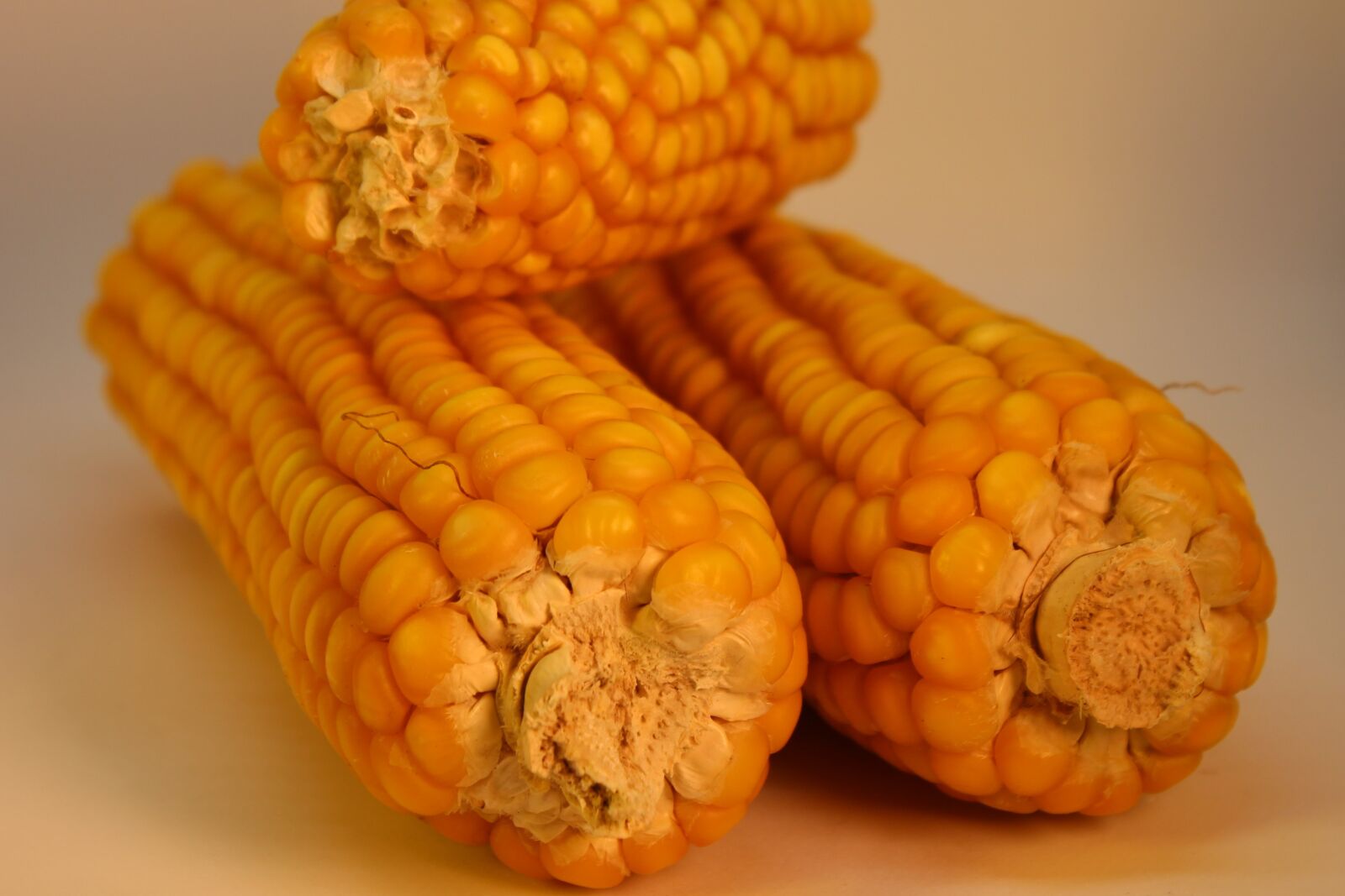 Canon EOS 700D (EOS Rebel T5i / EOS Kiss X7i) sample photo. Corn, vegetables, food photography