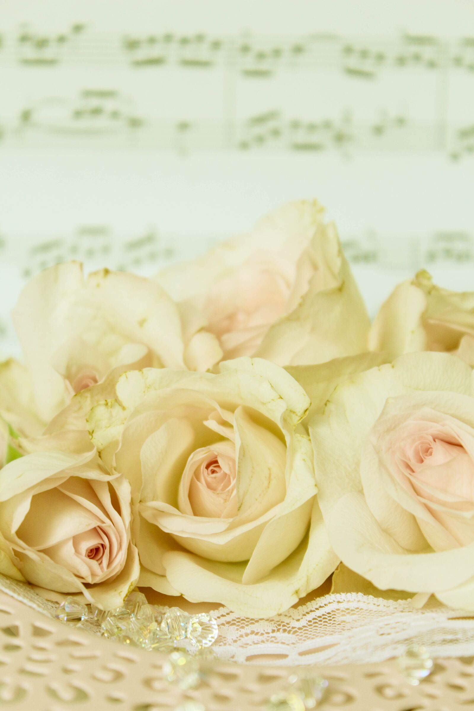 Canon EOS 600D (Rebel EOS T3i / EOS Kiss X5) sample photo. Roses, music, romantic photography