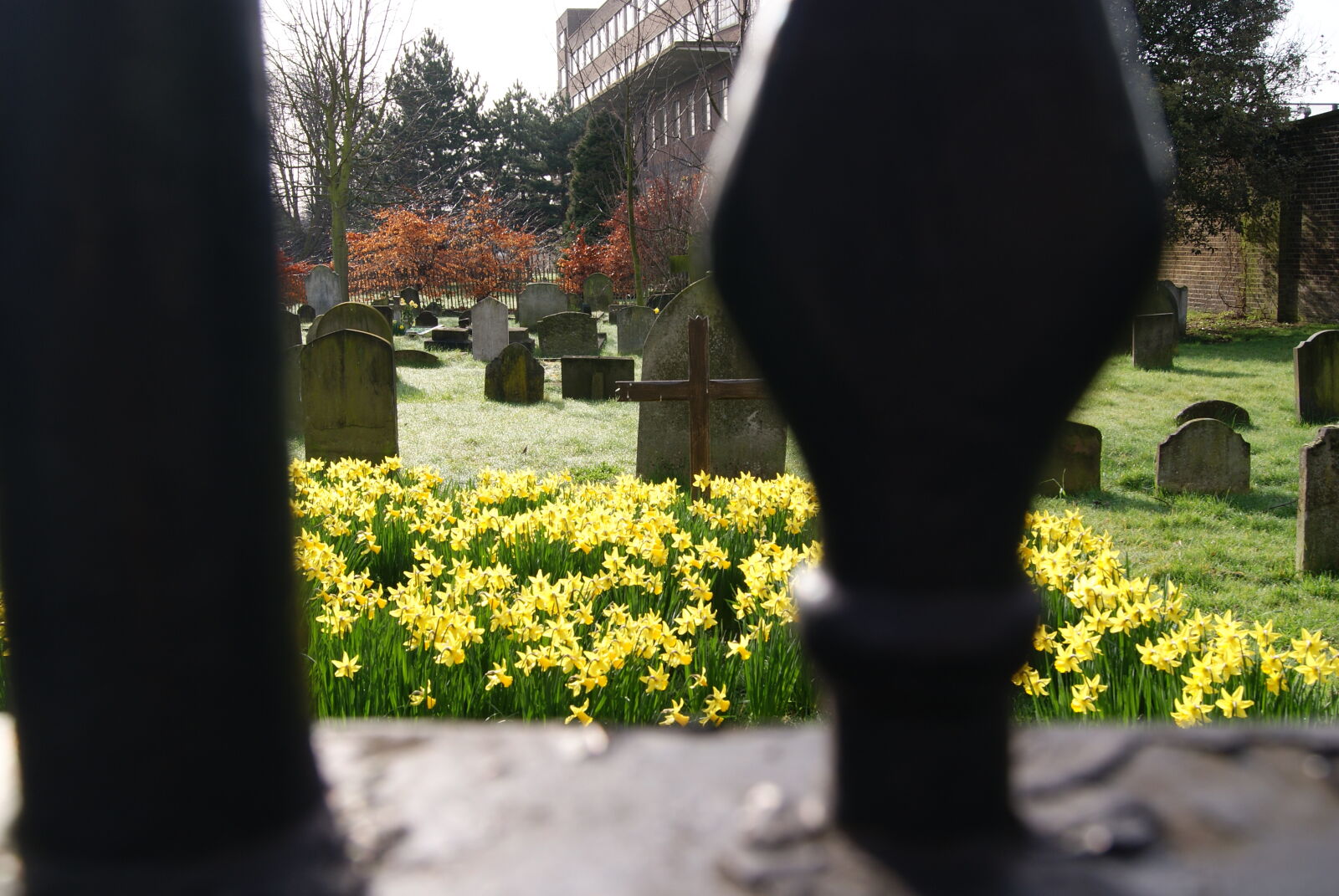Sony Alpha DSLR-A230 sample photo. Burial, cemetery, death, tombstones photography
