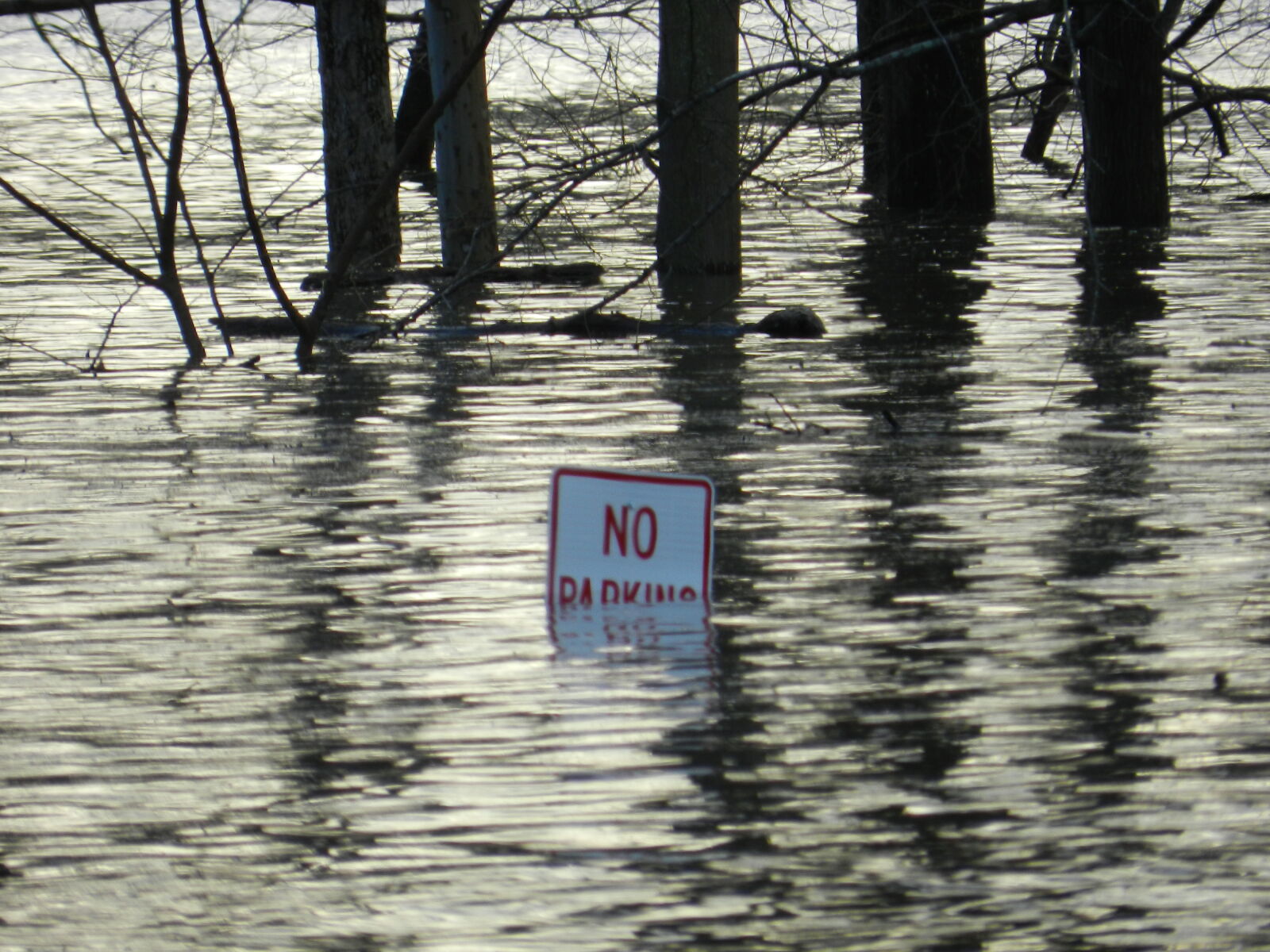 Nikon Coolpix P500 sample photo. Flood, flooding, floods photography
