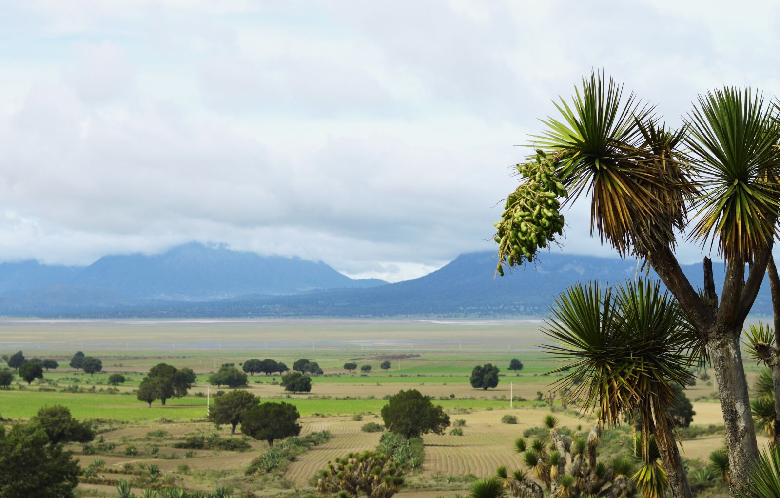 Nikon D3200 sample photo. Natural, nature, landscape photography