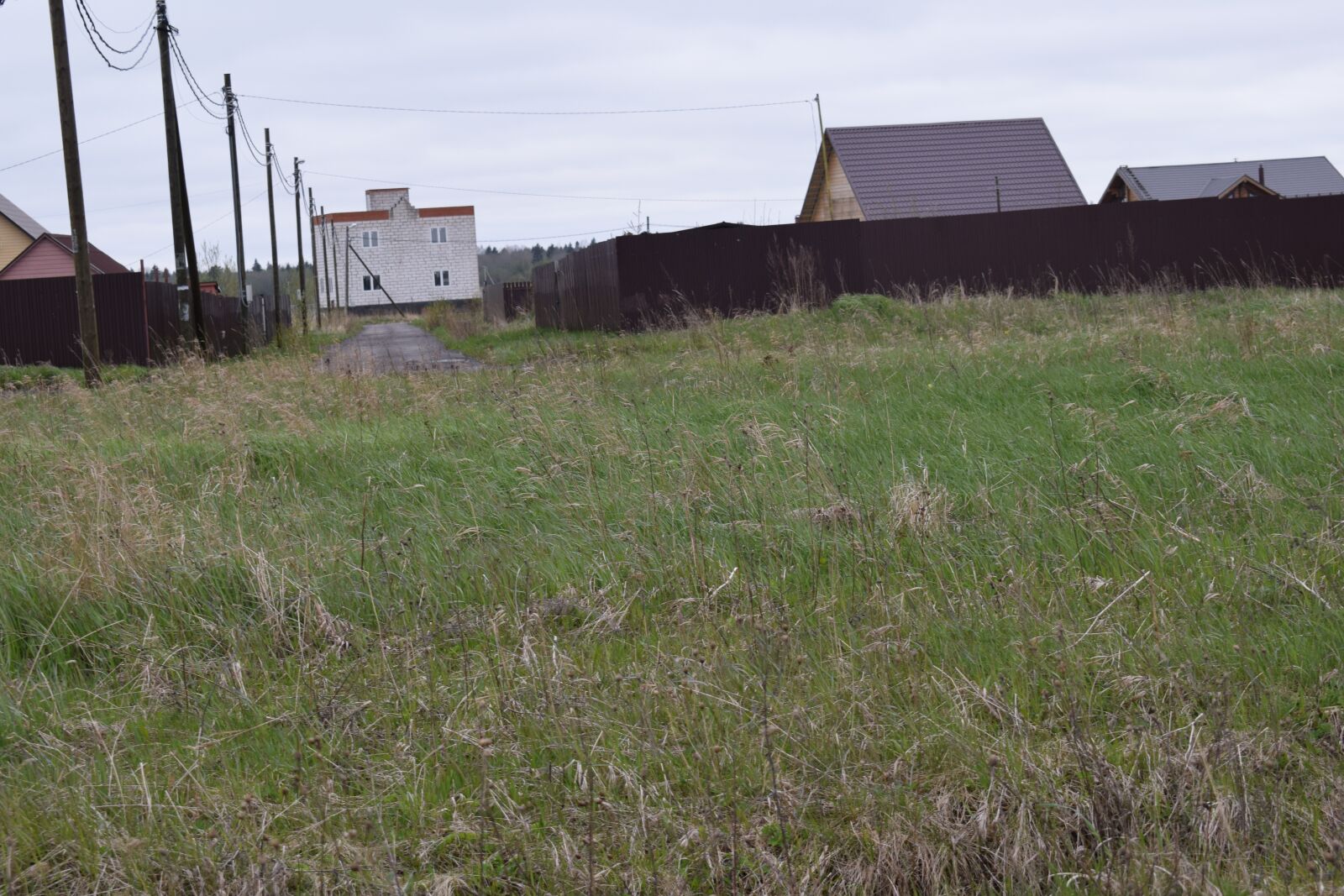 Nikon D3300 sample photo. Farm, leningrad region, kipen photography