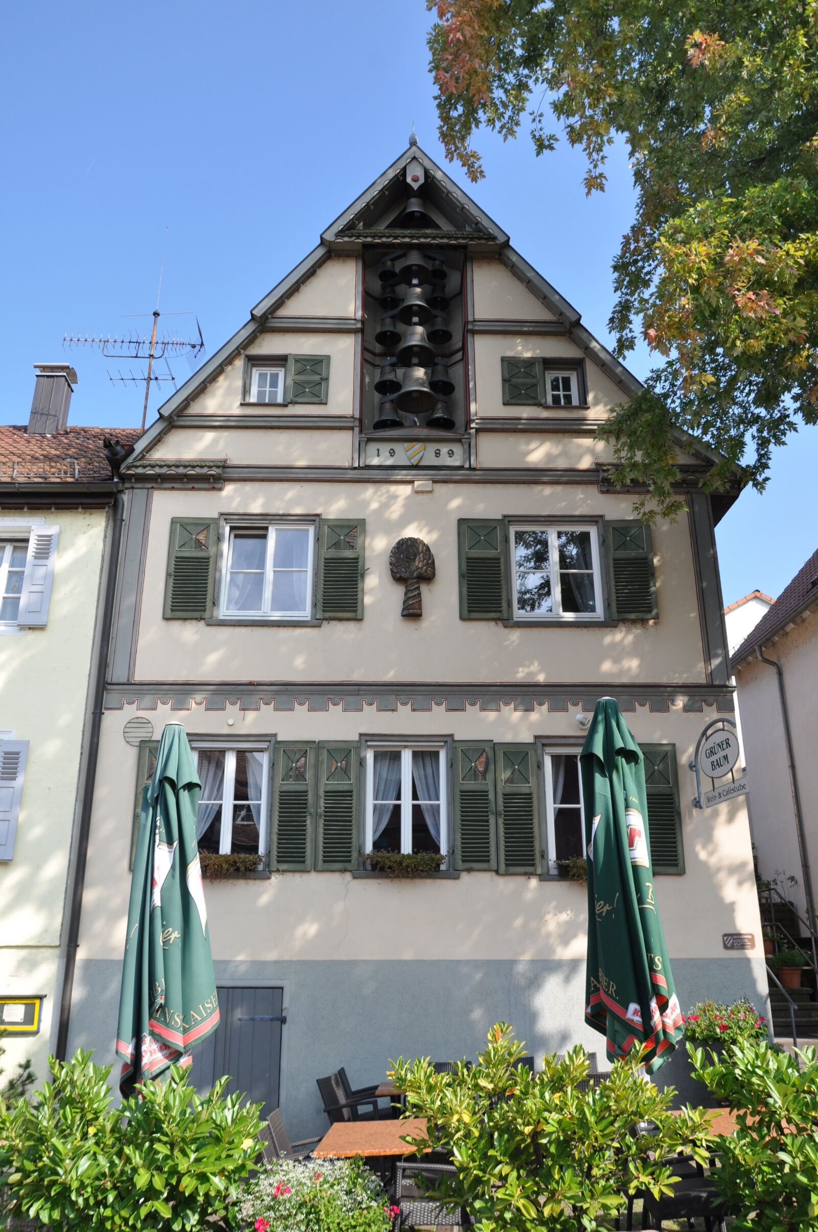 Nikon D5000 sample photo. Plochingen, neckar, green tree photography