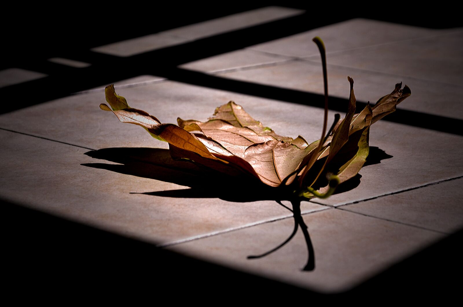 Nikon D7000 sample photo. Shadow, dark, desktop photography