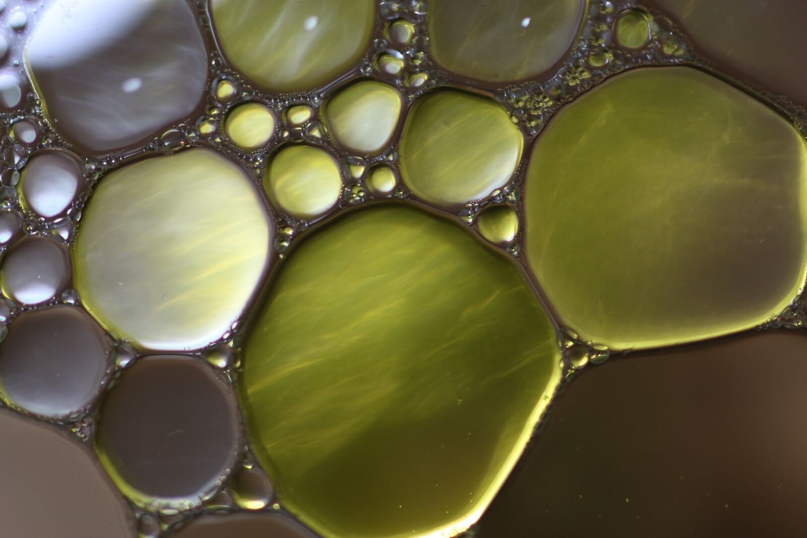 Canon EOS 70D + Canon EF 50mm F2.5 Macro sample photo. Oil in water, liquid photography