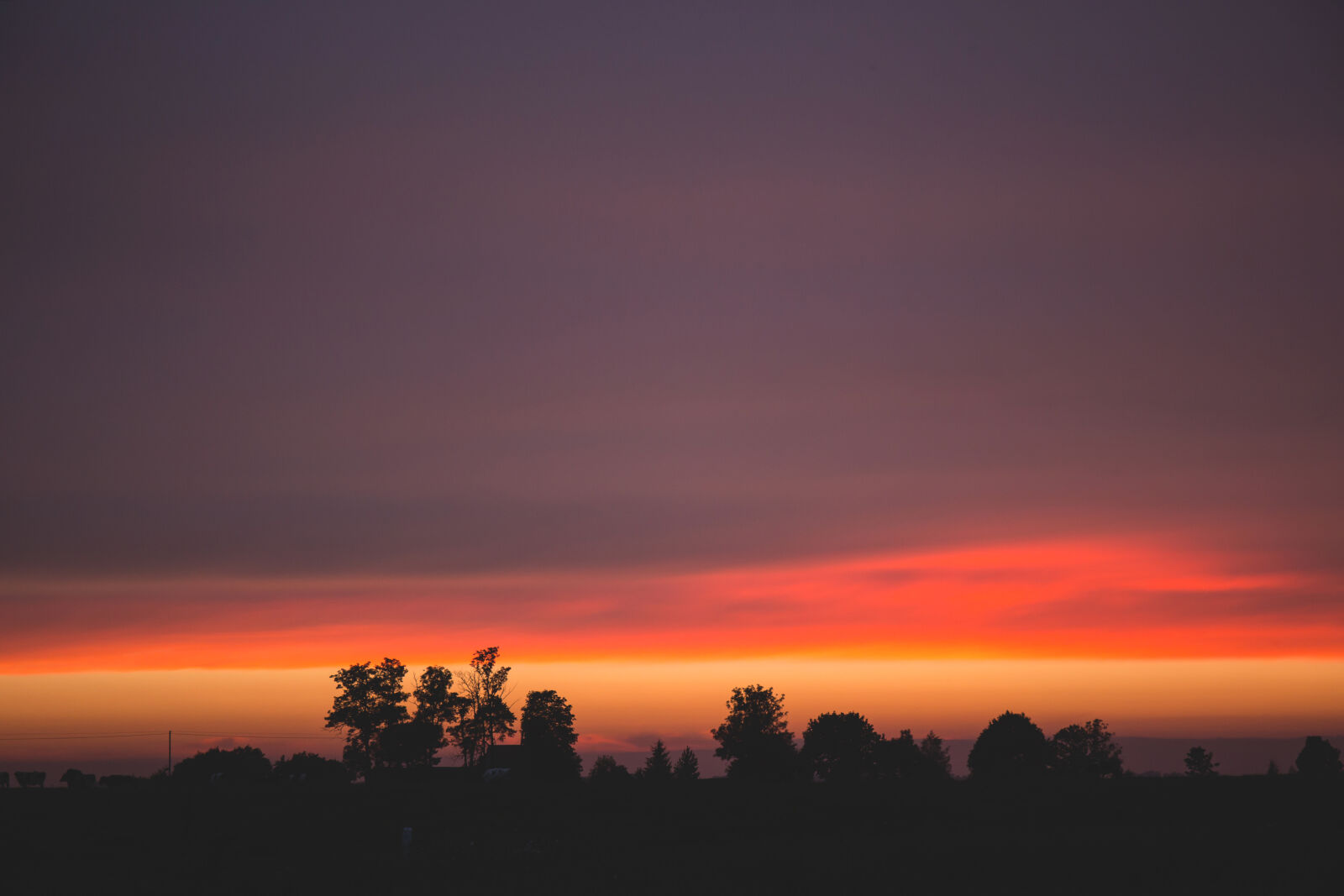 Canon EF 24-70mm F4L IS USM sample photo. Silhouettes, of, trees, during photography