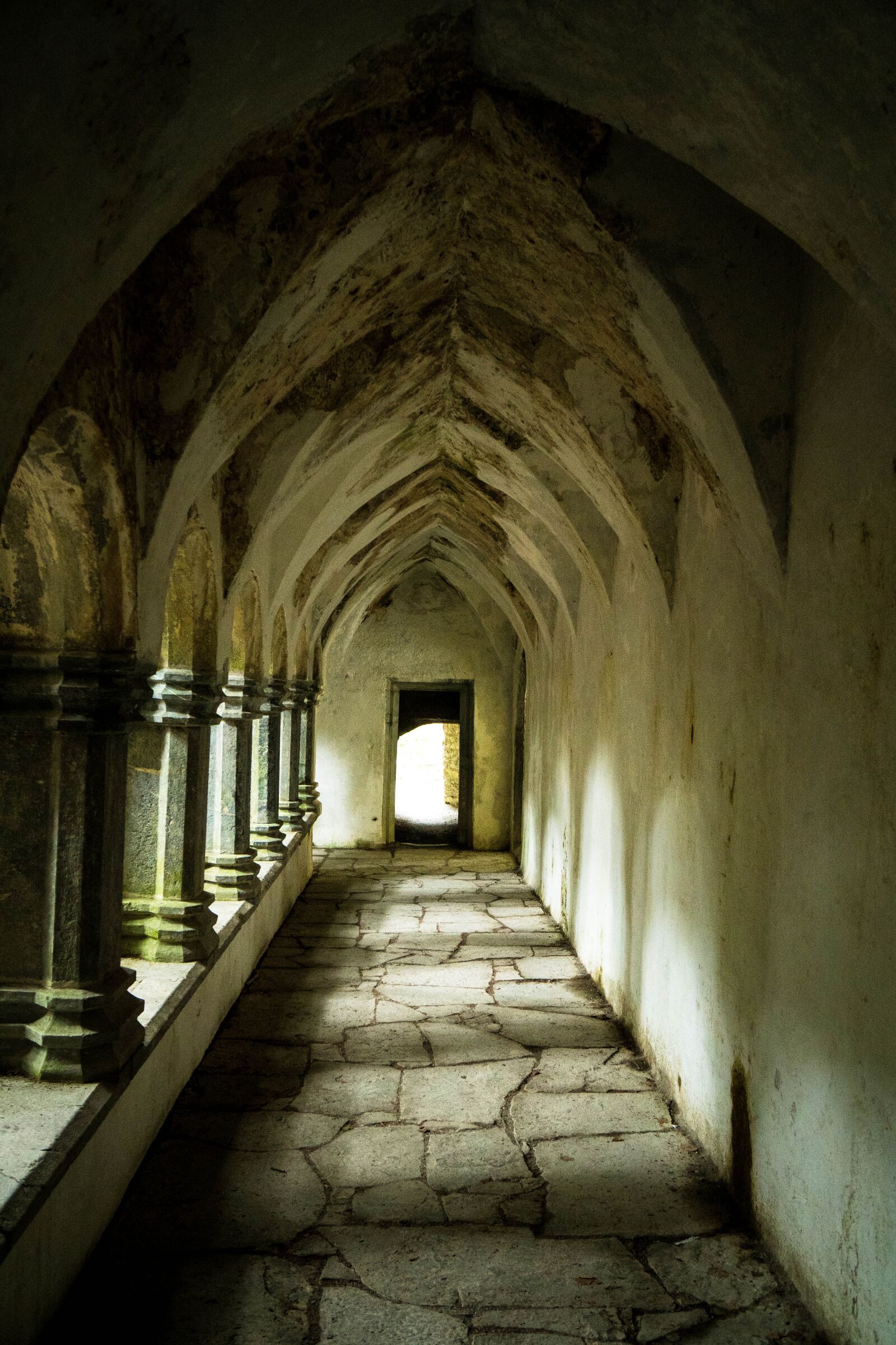 Sony a6500 + Sony Vario-Tessar T* E 16-70mm F4 ZA OSS sample photo. Muckross abbey, muckross, killarney photography