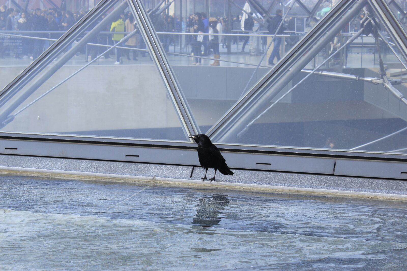 Canon EOS 600D (Rebel EOS T3i / EOS Kiss X5) sample photo. Louvre, the pyramid of photography