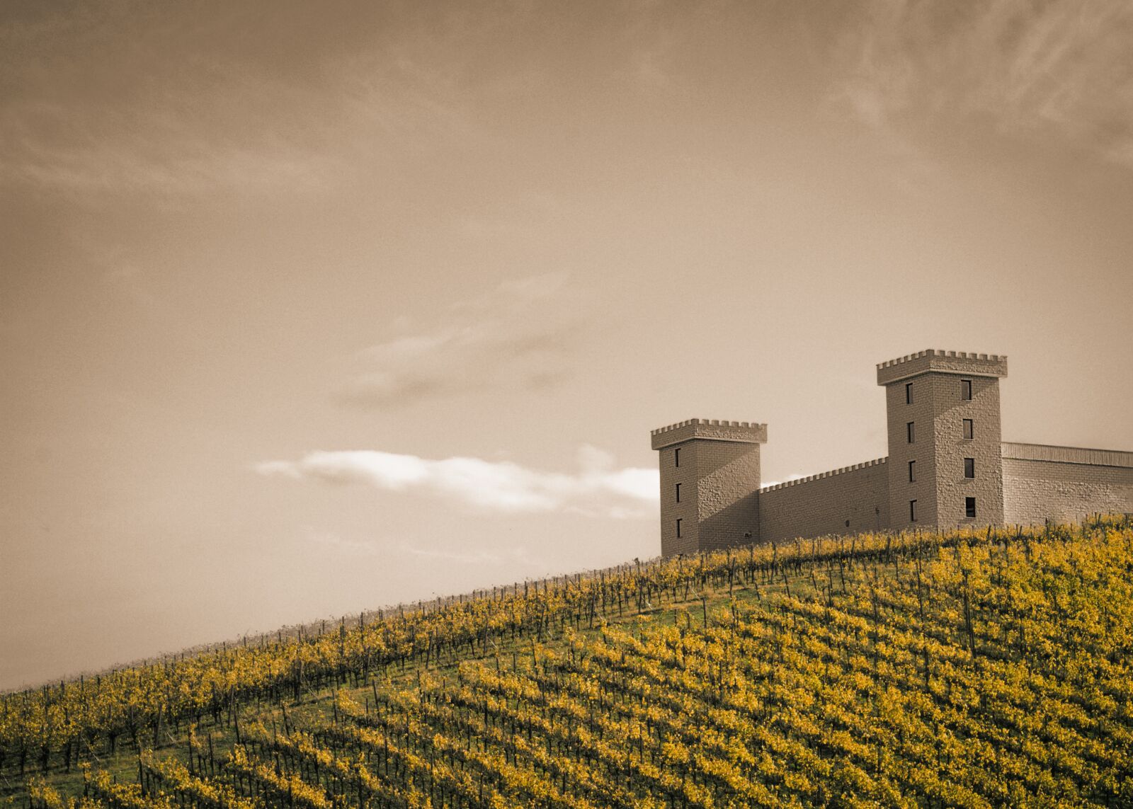 Canon EOS 1300D (EOS Rebel T6 / EOS Kiss X80) + Canon EF 50mm F1.8 STM sample photo. Castle, vineyard, middle ages photography