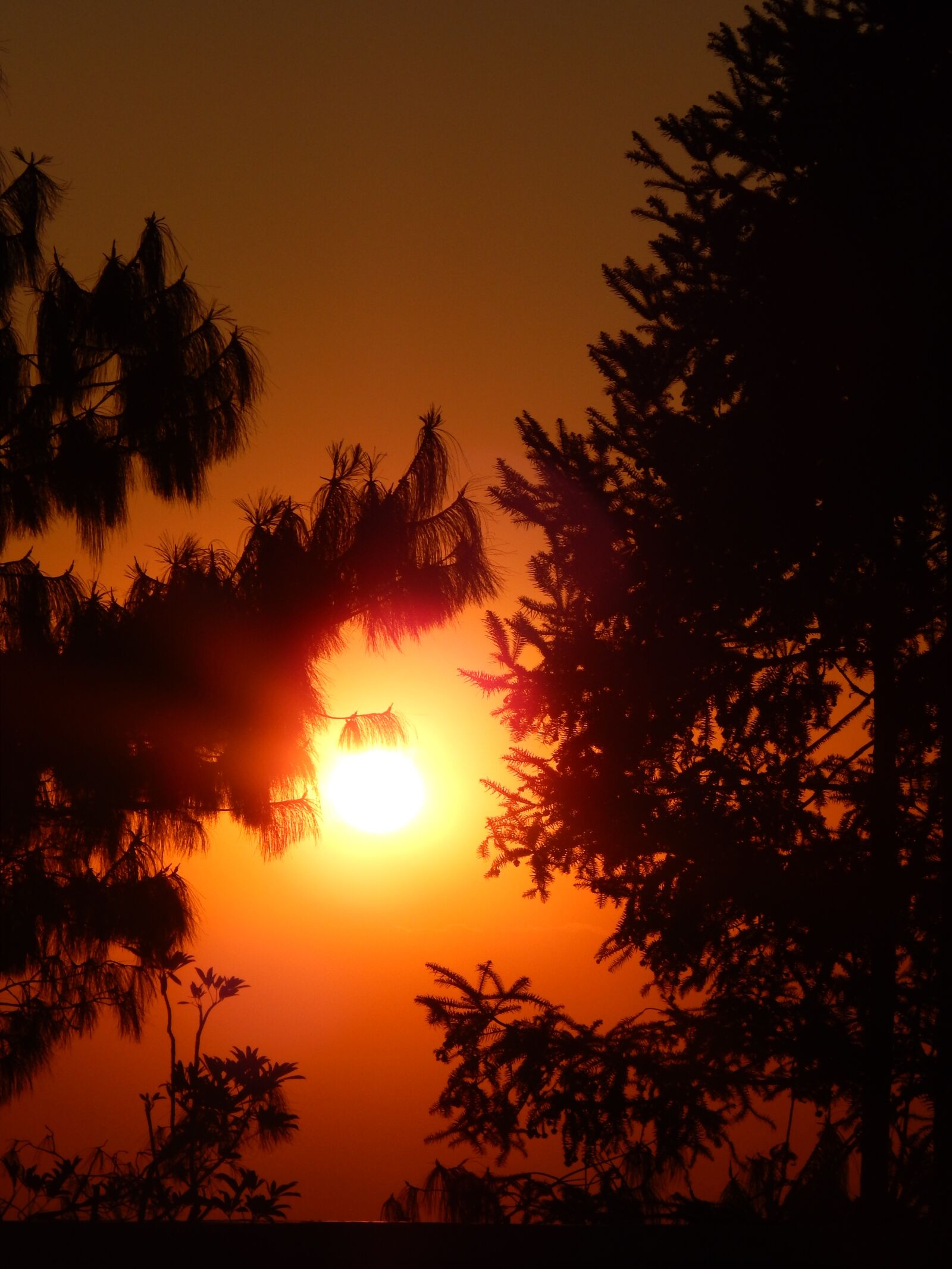 Nikon Coolpix L820 sample photo. Nepal, sunset, katmandou photography