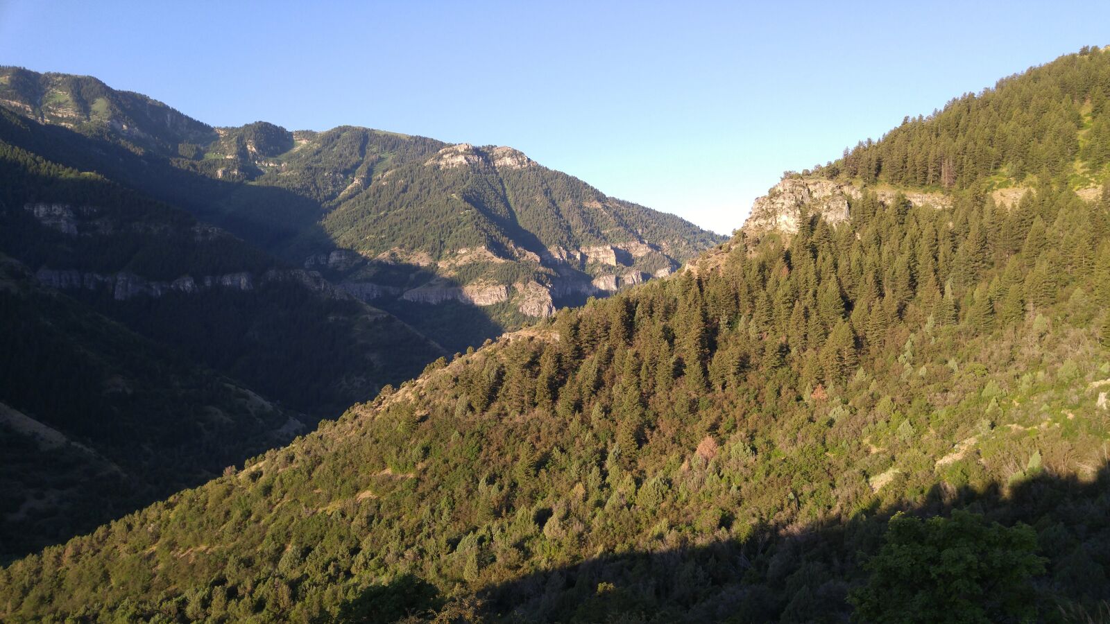 LG G4 sample photo. Mountains, trees, landscape photography