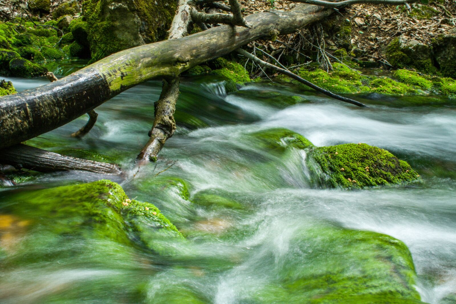 Canon EF-S 18-55mm F3.5-5.6 II sample photo. Water, nature, river photography