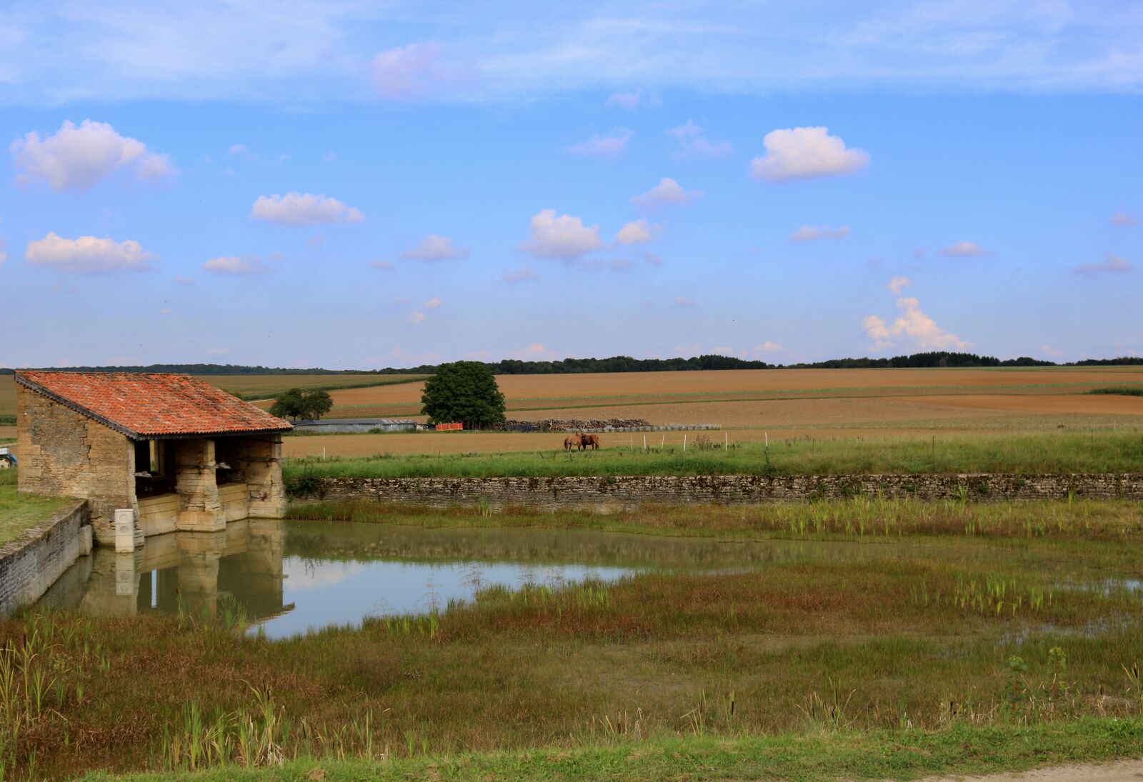 Canon EOS 750D (EOS Rebel T6i / EOS Kiss X8i) sample photo. Field, wash, landscape photography