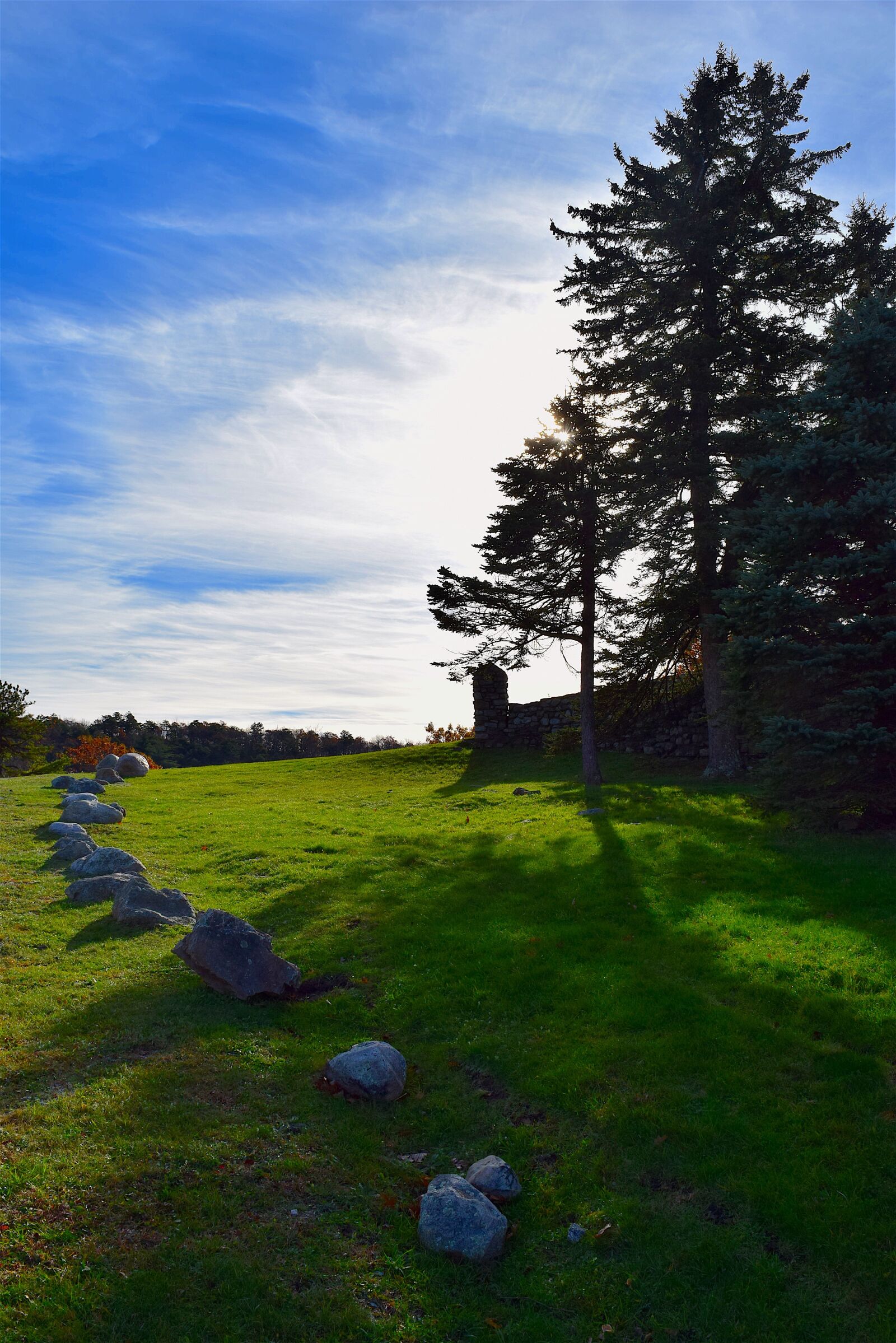 Nikon D3300 sample photo. Landscape, trees, sun photography