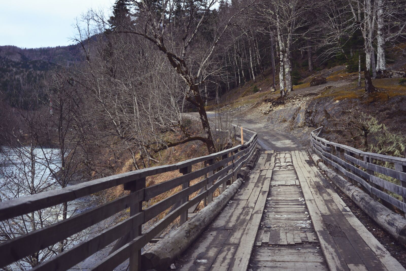 Nikon D800 sample photo. Old, bridge, river photography
